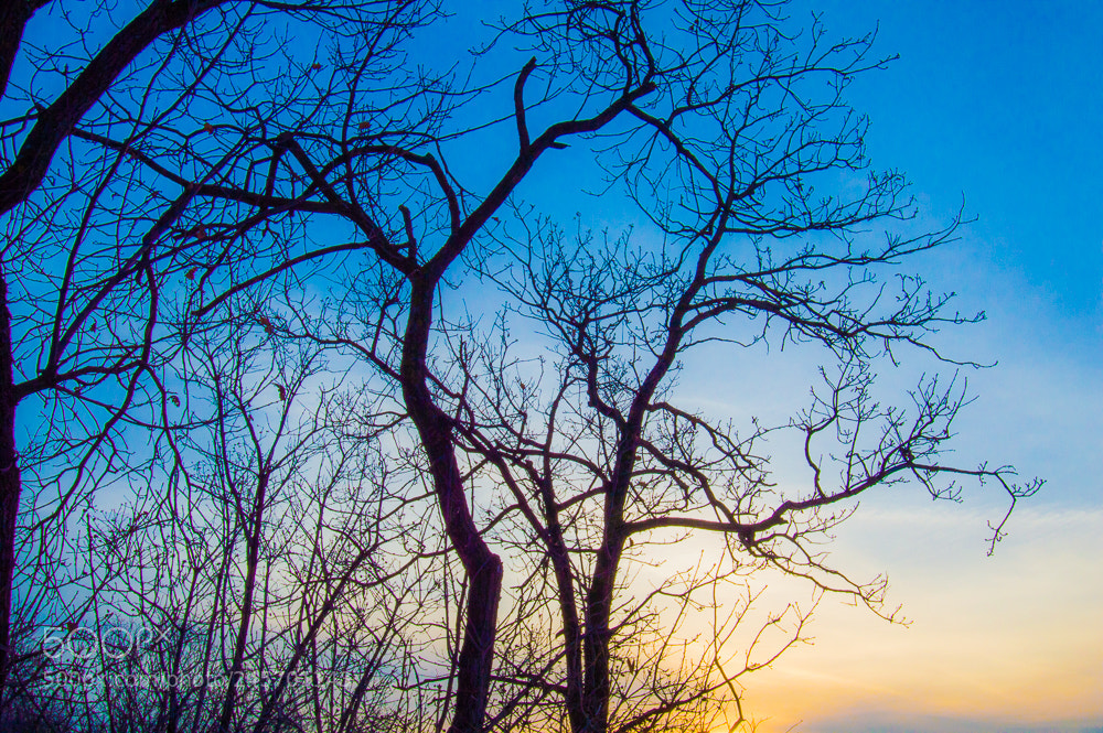 Nikon D3200 sample photo. КОНВЕРТ () photography