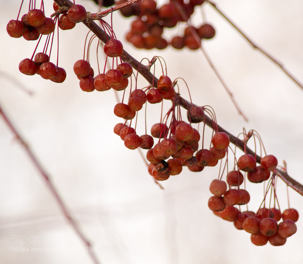 Nikon D3200 sample photo. КОНВЕРТ () photography
