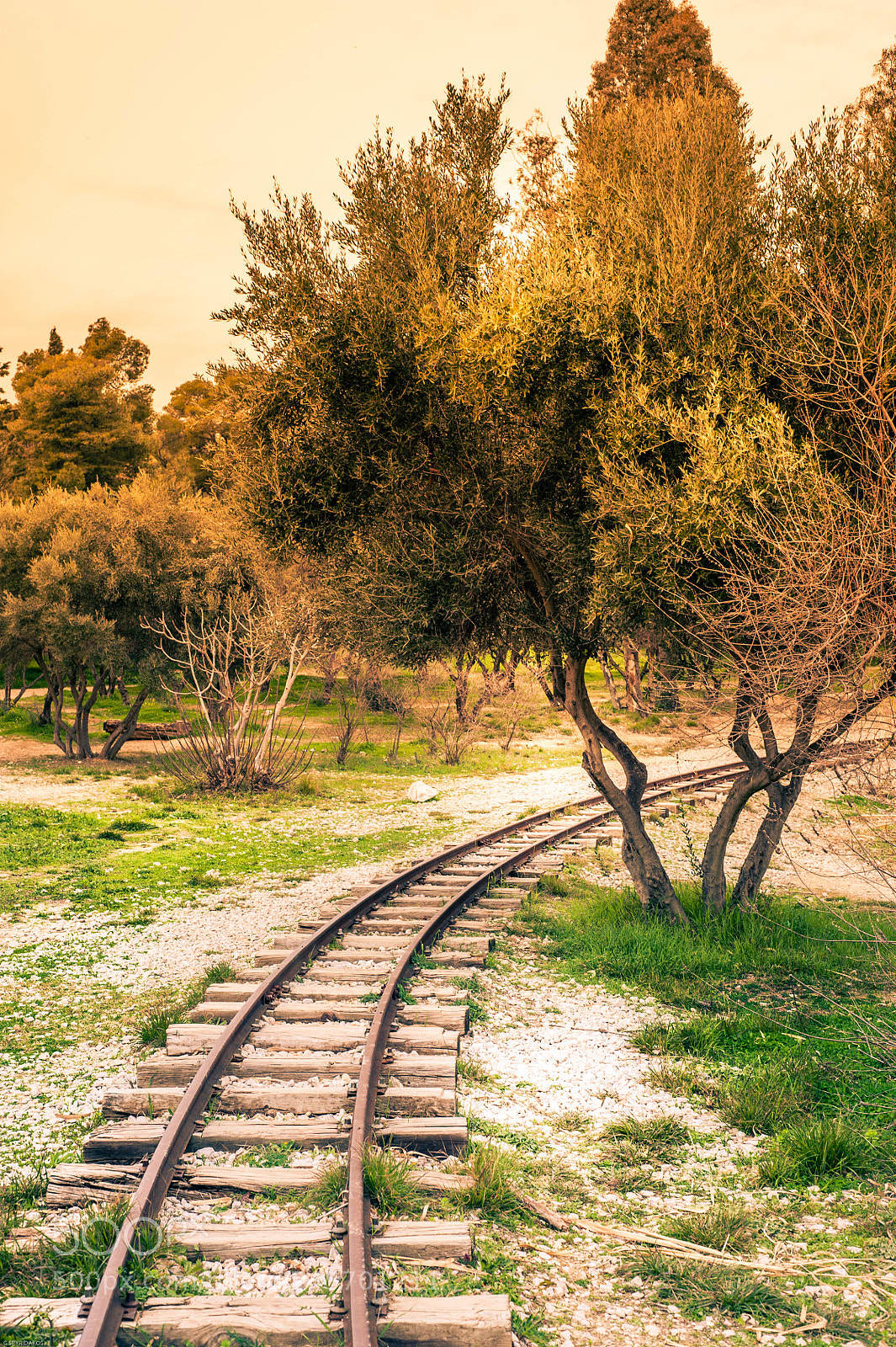 Nikon D700 sample photo. The rails photography