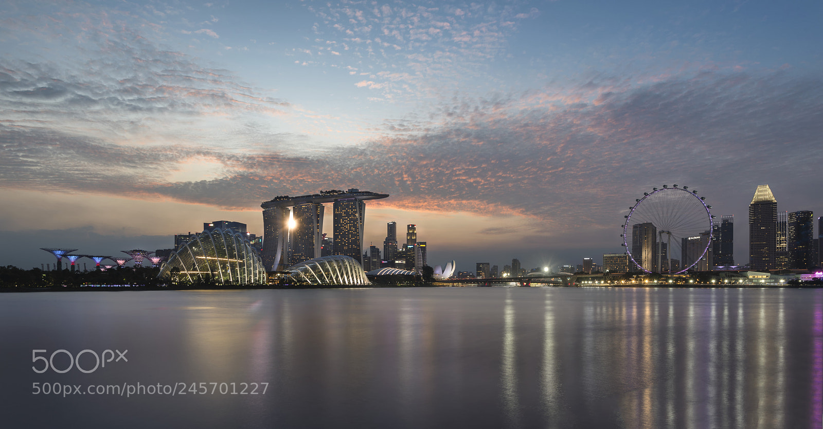 Nikon D610 sample photo. Singapore skyline at sunset photography