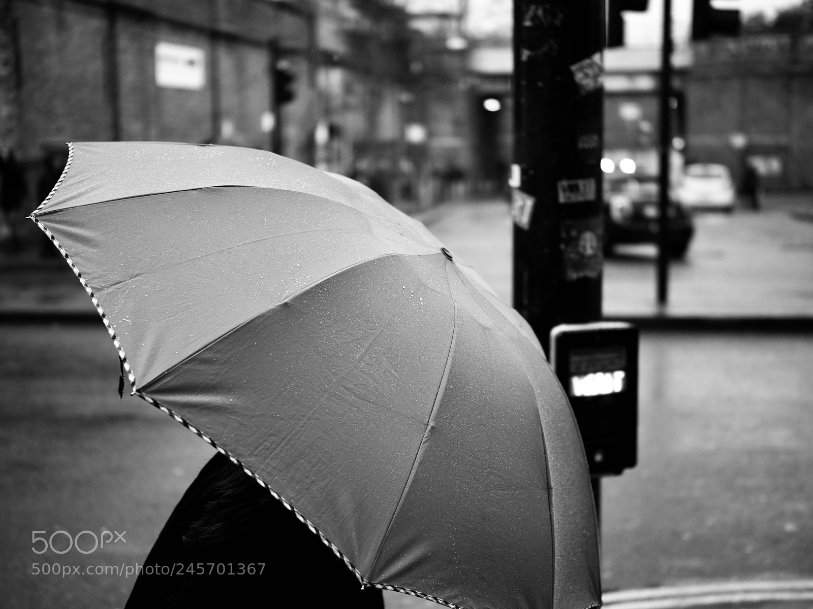 Olympus OM-D E-M1 Mark II sample photo. Untitled photography