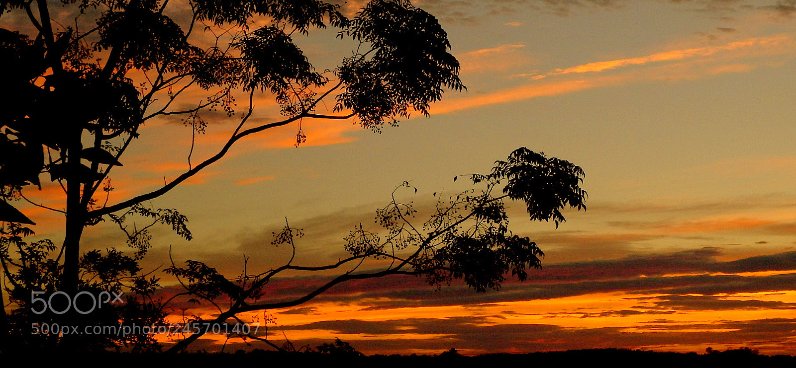 Fujifilm FinePix SL1000 sample photo. First colors ....new day photography