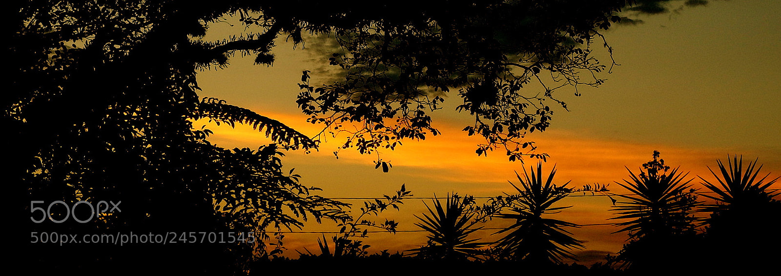 Fujifilm FinePix SL1000 sample photo. In the morning ..... photography