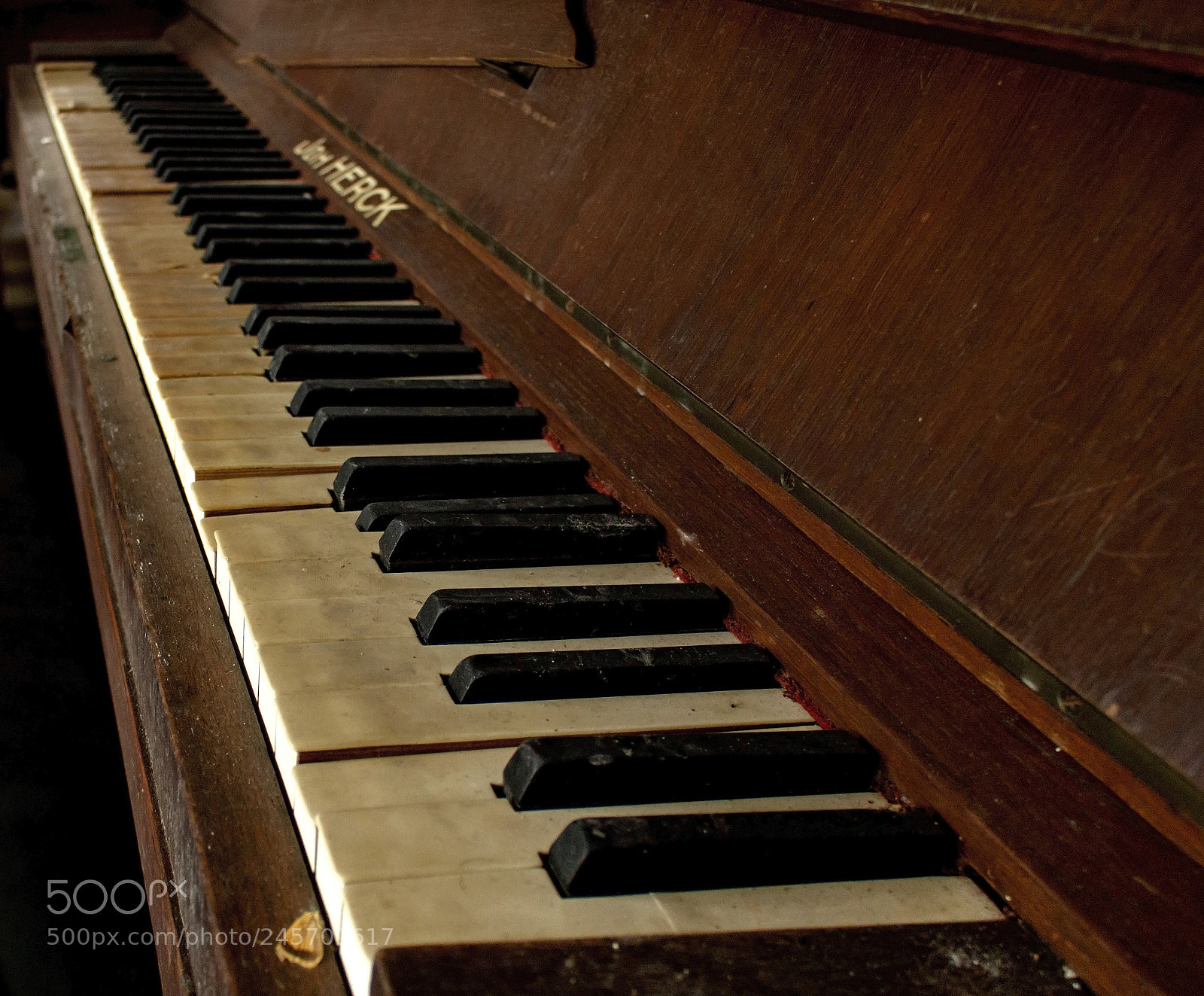 Canon EOS 700D (EOS Rebel T5i / EOS Kiss X7i) sample photo. The last song. photography