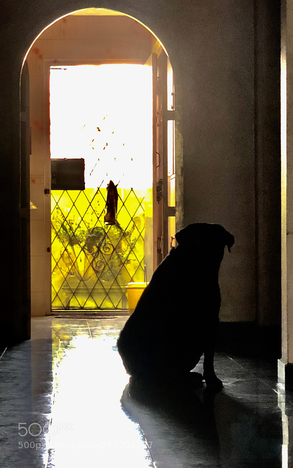 Apple iPhone X sample photo. Untitled photography