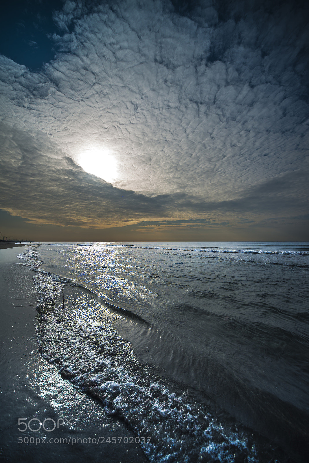 Nikon D800 sample photo. After the rain photography