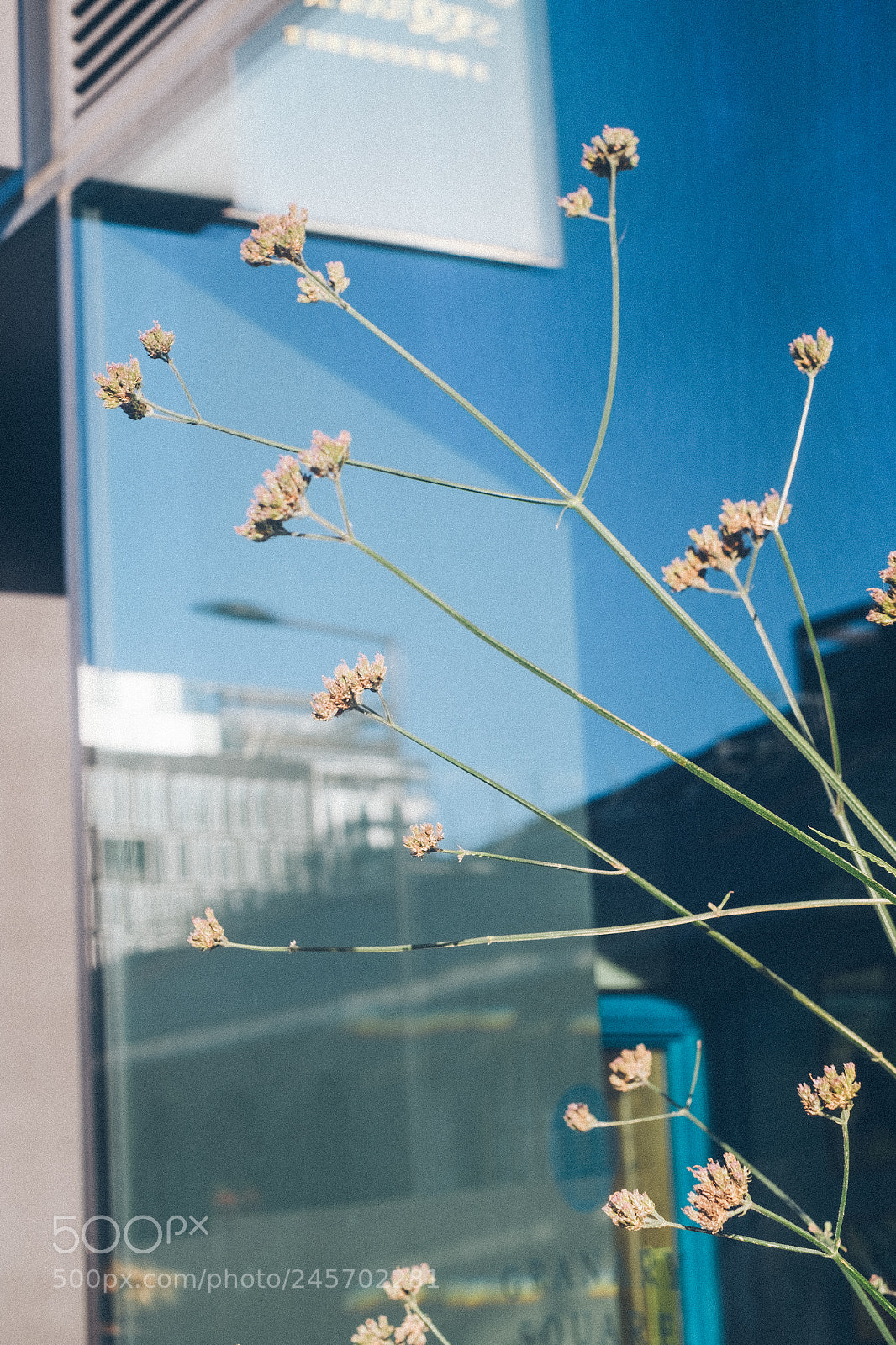 Fujifilm X-Pro1 sample photo. Blue in london photography