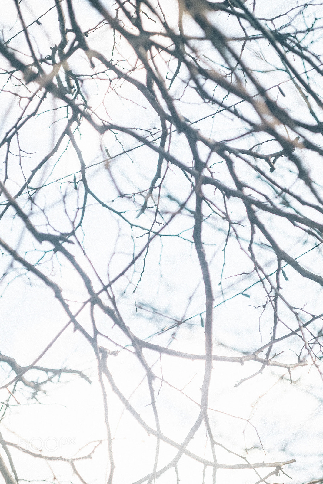 Fujifilm X-Pro1 sample photo. Blue in london photography