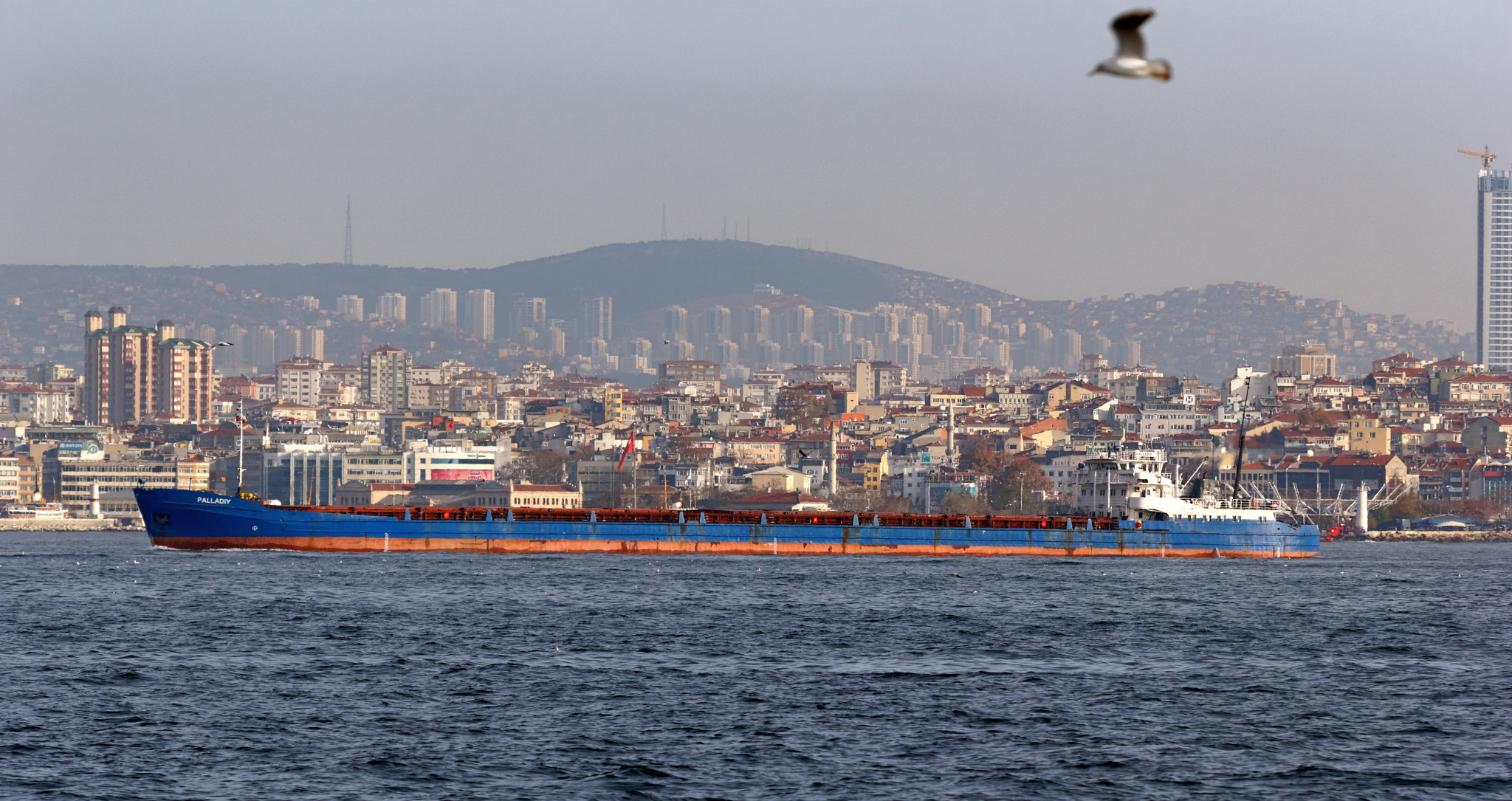 Canon EOS 550D (EOS Rebel T2i / EOS Kiss X4) + Sigma 50-200mm F4-5.6 DC OS HSM sample photo. Istanbul. bosphorus photography