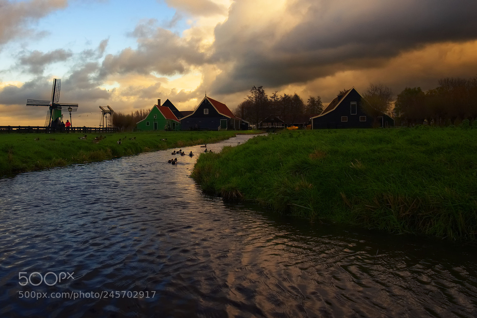 Sony a7 sample photo. Amsterdam countryside and windmill photography