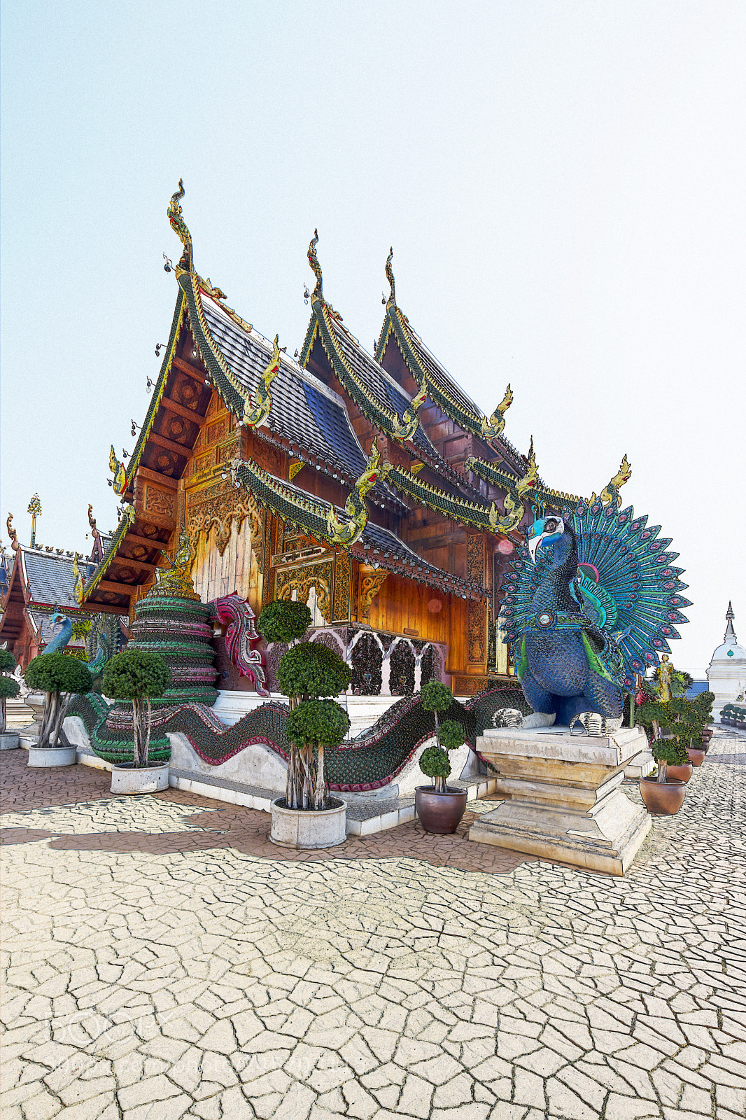 Nikon D850 sample photo. Image photography