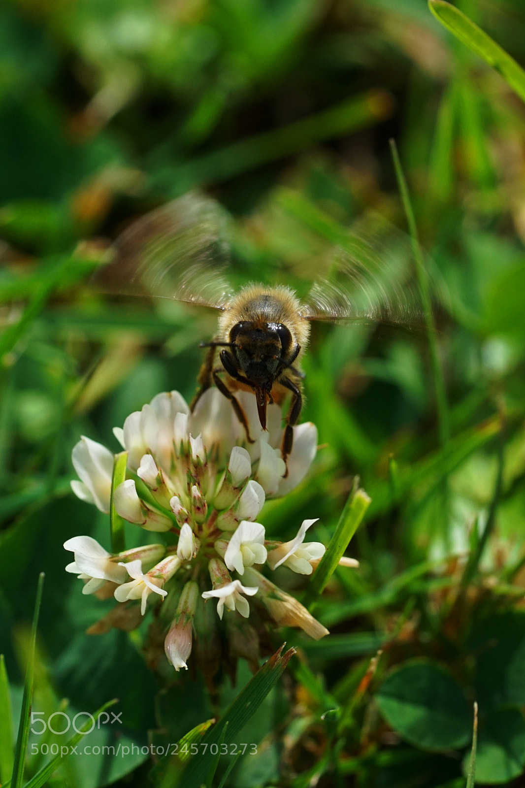 Sony a7R II sample photo. Landing photography