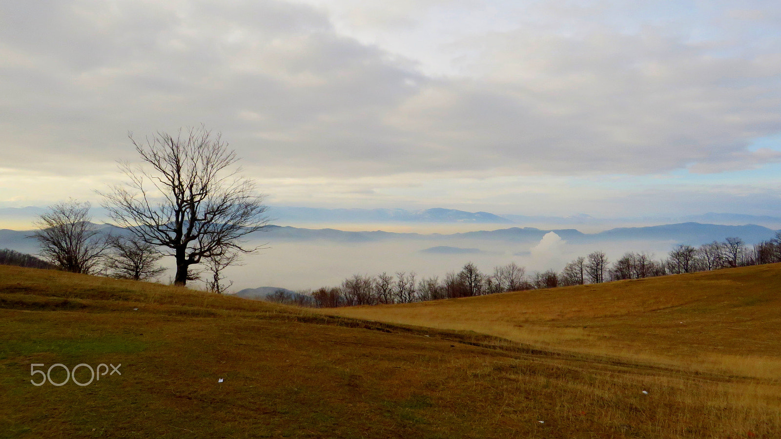 Canon PowerShot SX280 HS sample photo. Fog above the city photography