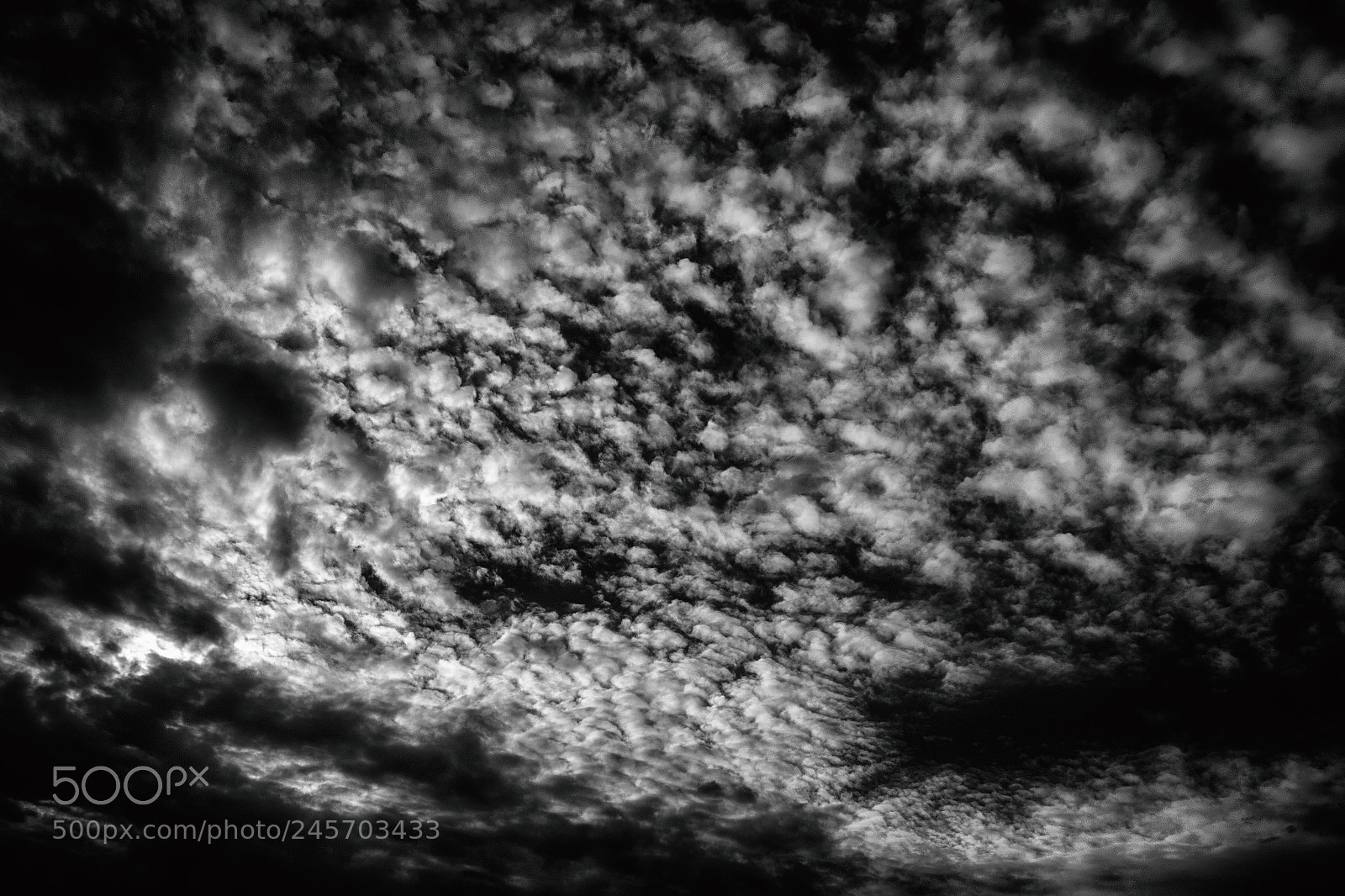 Nikon D3100 sample photo. Detail sky photography
