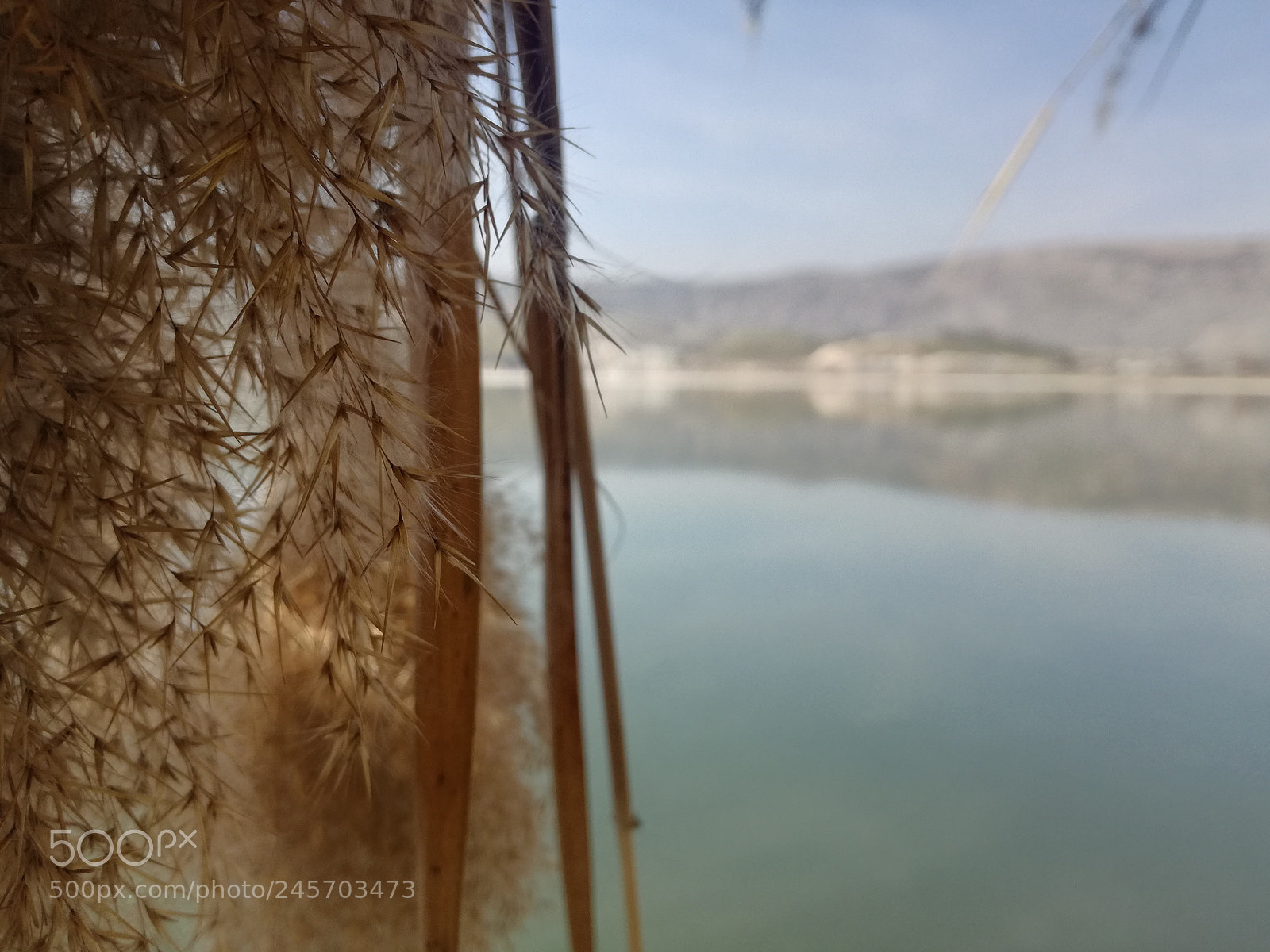 HUAWEI P9 LITE sample photo. Untitled photography
