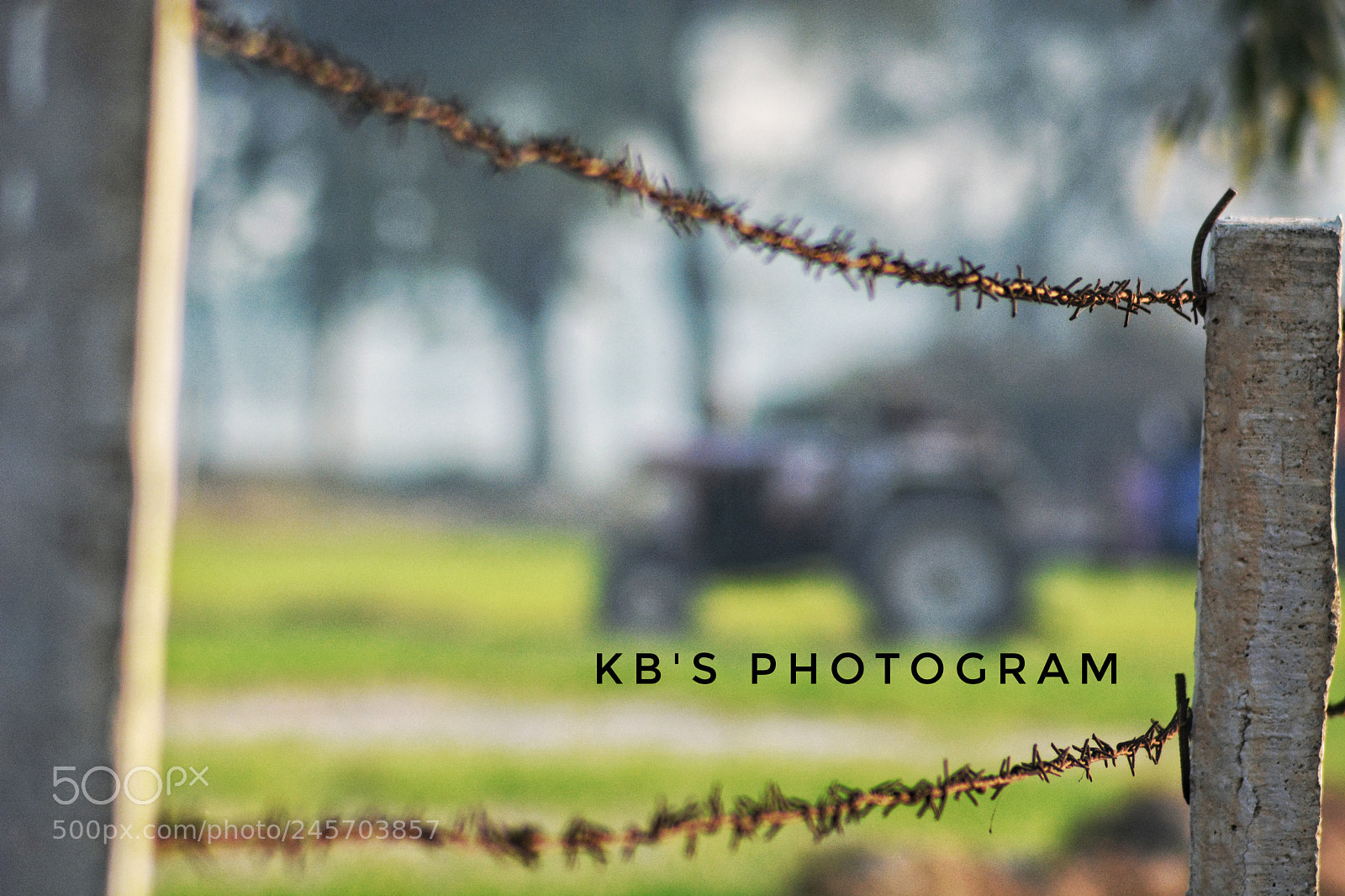 Nikon D5200 sample photo. Wired fencing in depth photography