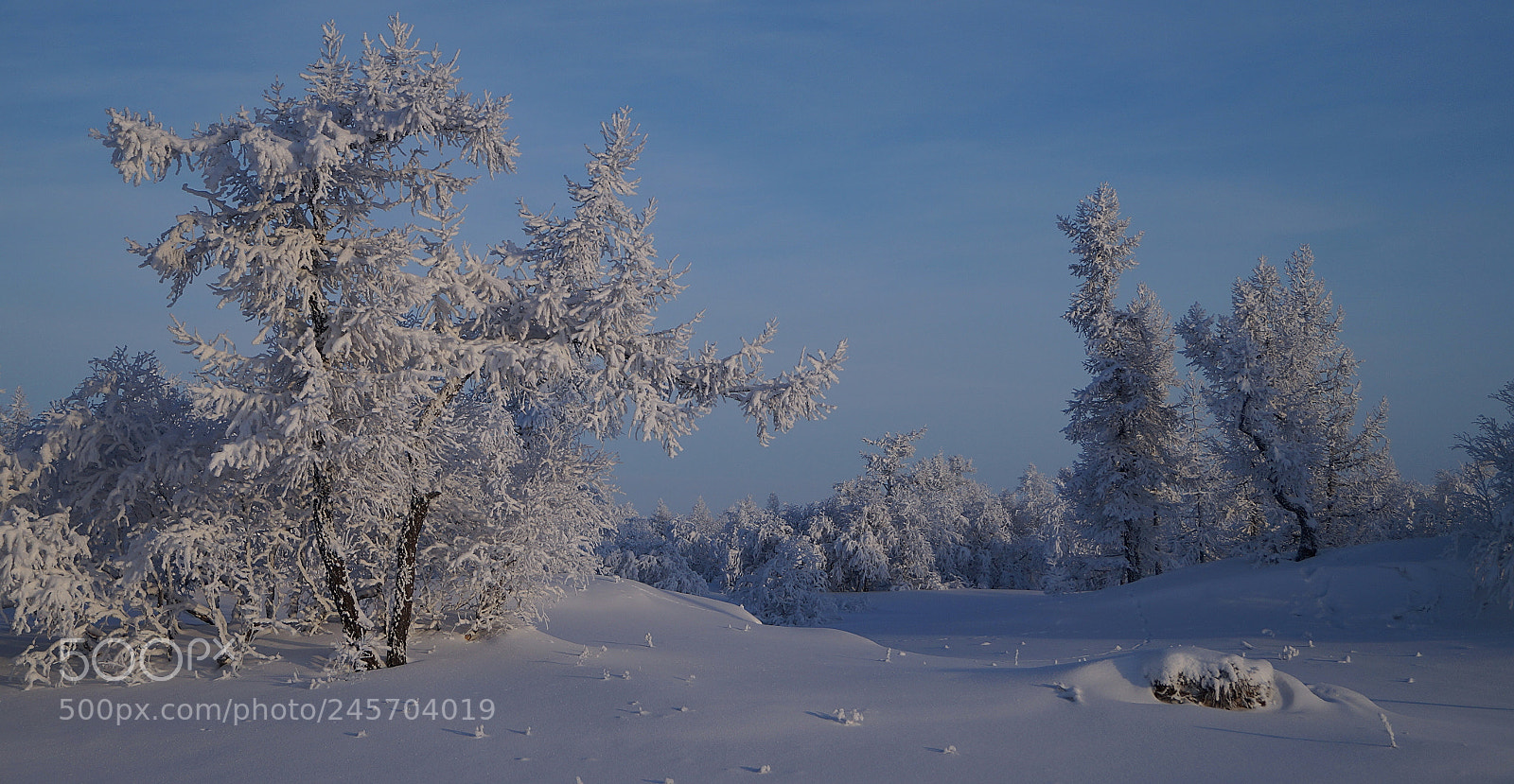Sony SLT-A58 sample photo. Заполярье photography