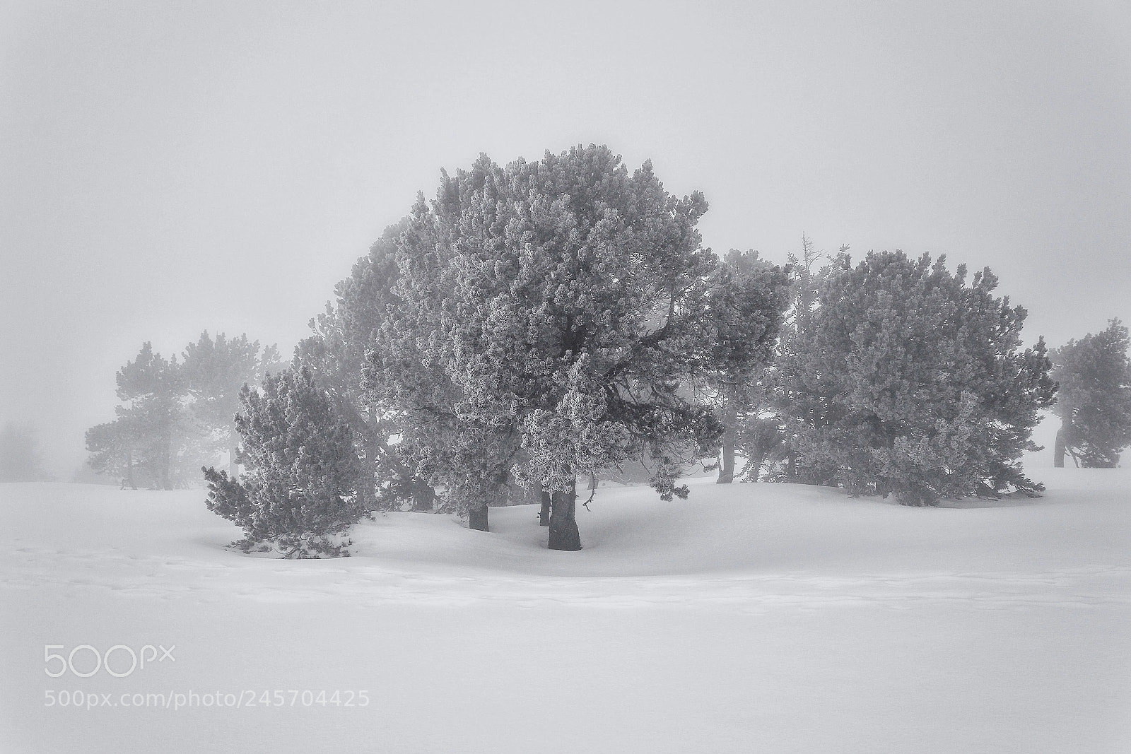 Pentax K-3 II sample photo. Misty mountain photography