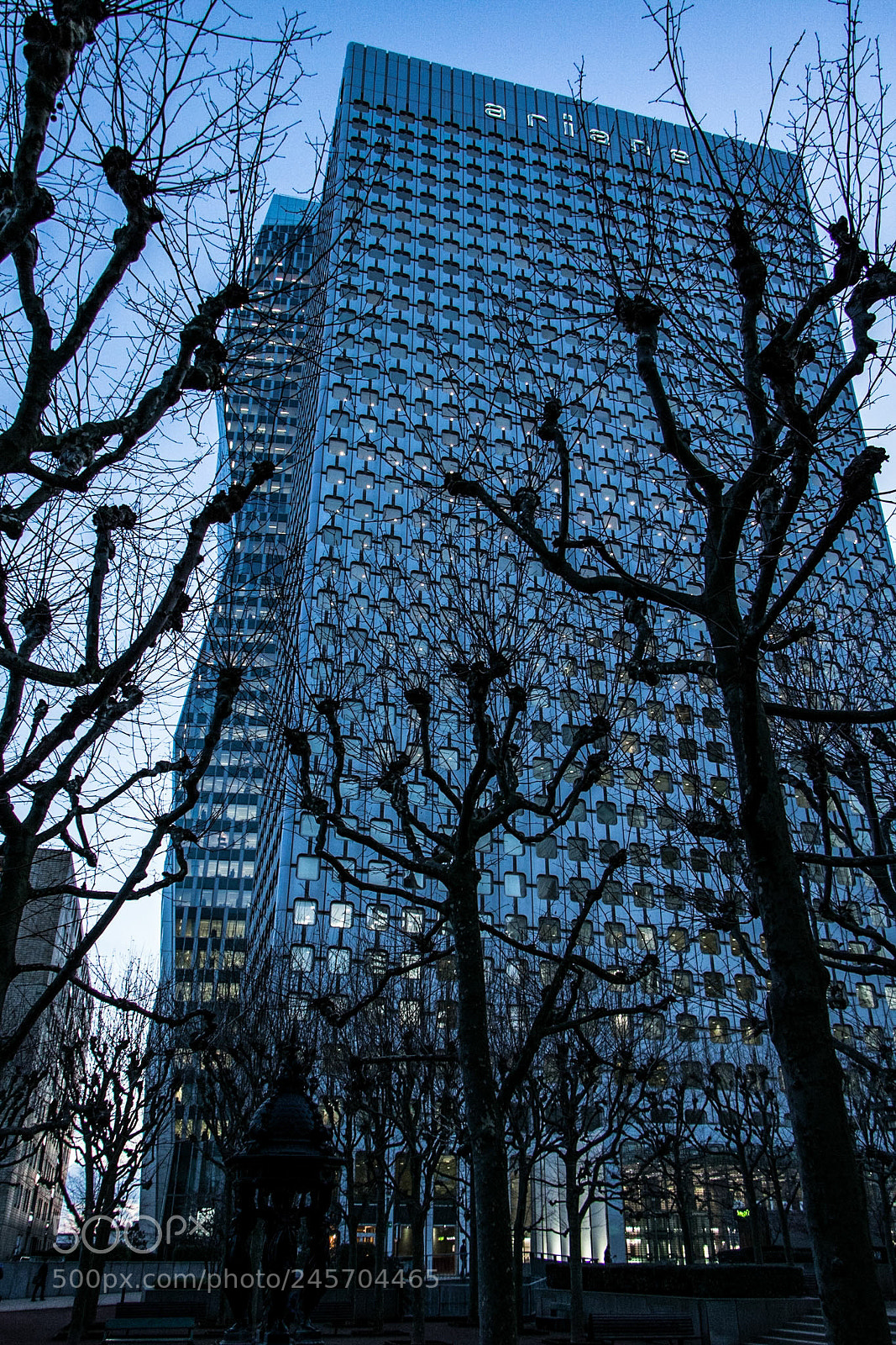 Canon EOS 760D (EOS Rebel T6s / EOS 8000D) sample photo. Nude trees photography