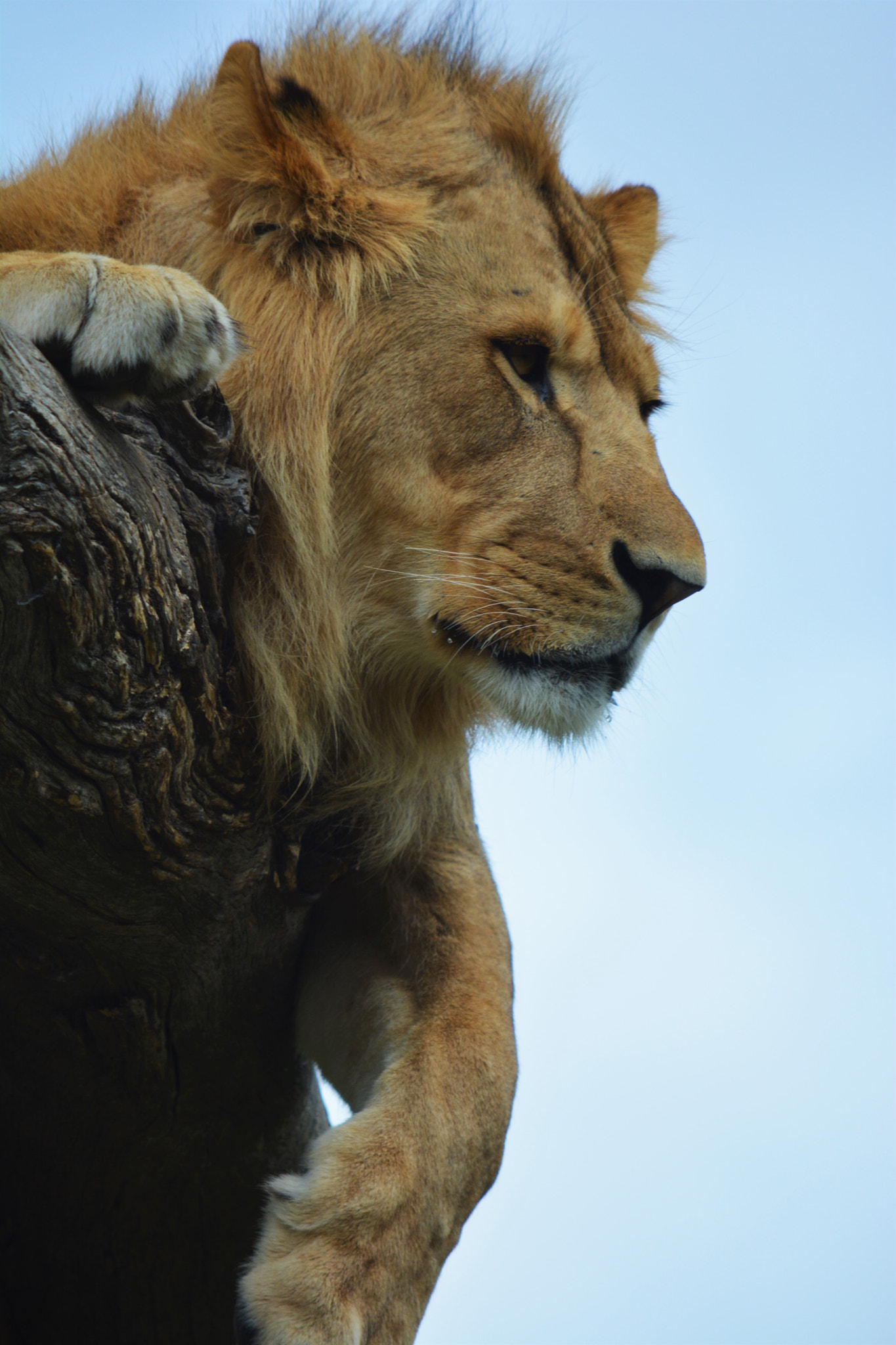 Nikon D5200 sample photo. Wild exploration photography