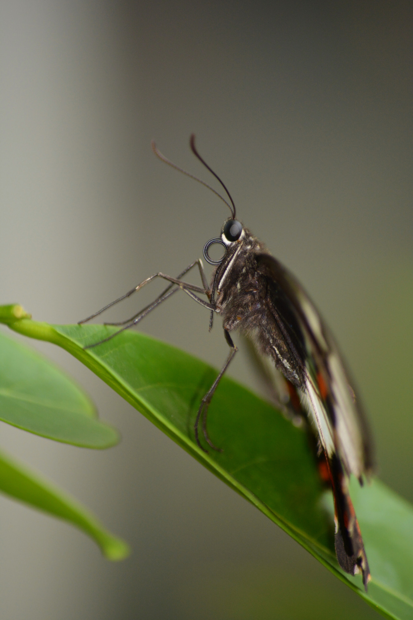 Nikon D5200 sample photo. Wild exploration photography