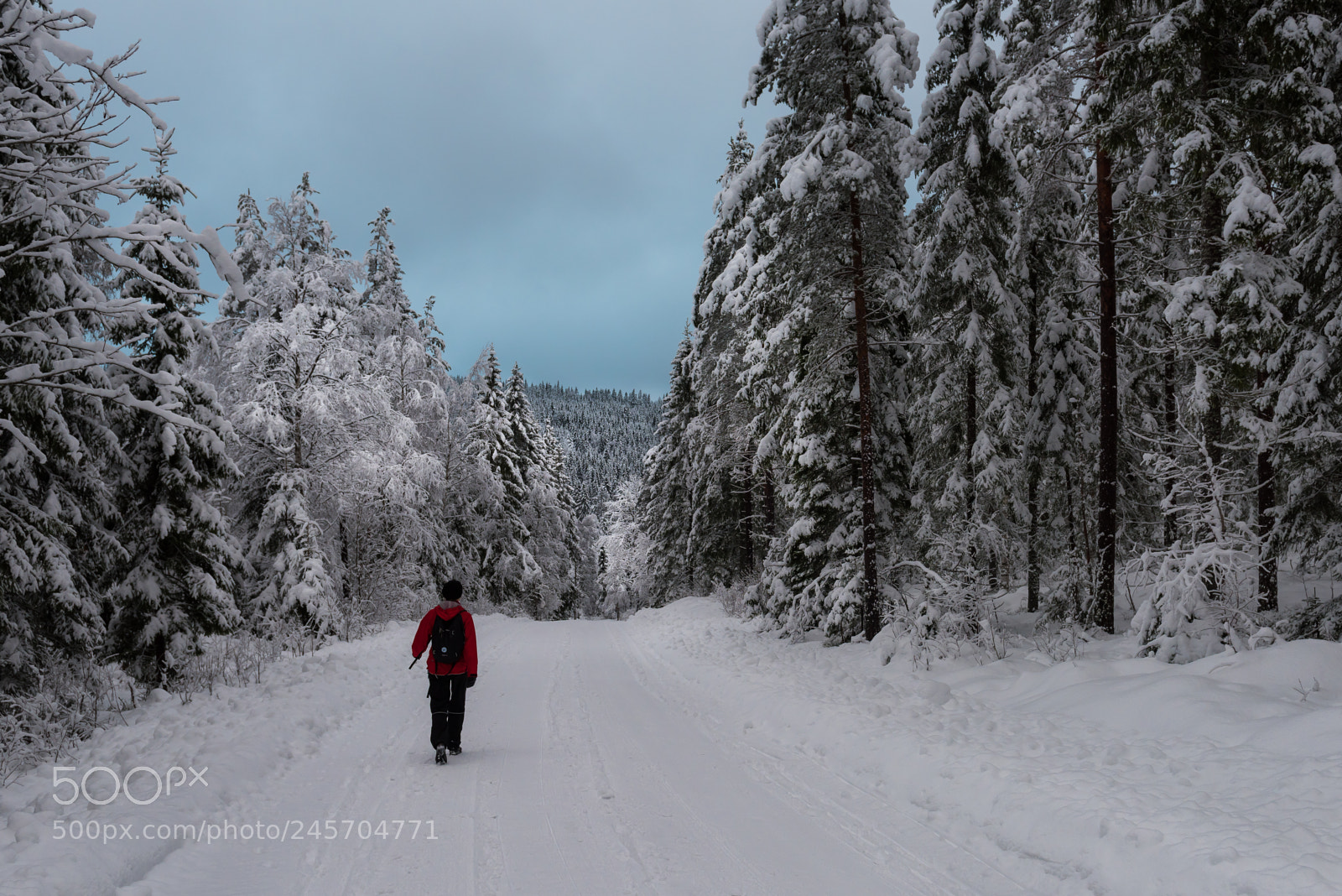 Nikon D810 sample photo. Winter blues ii photography
