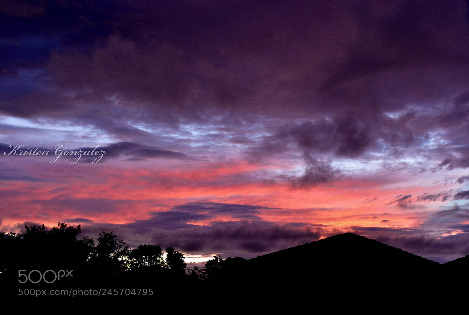 Nikon D3400 sample photo. Violet blush photography
