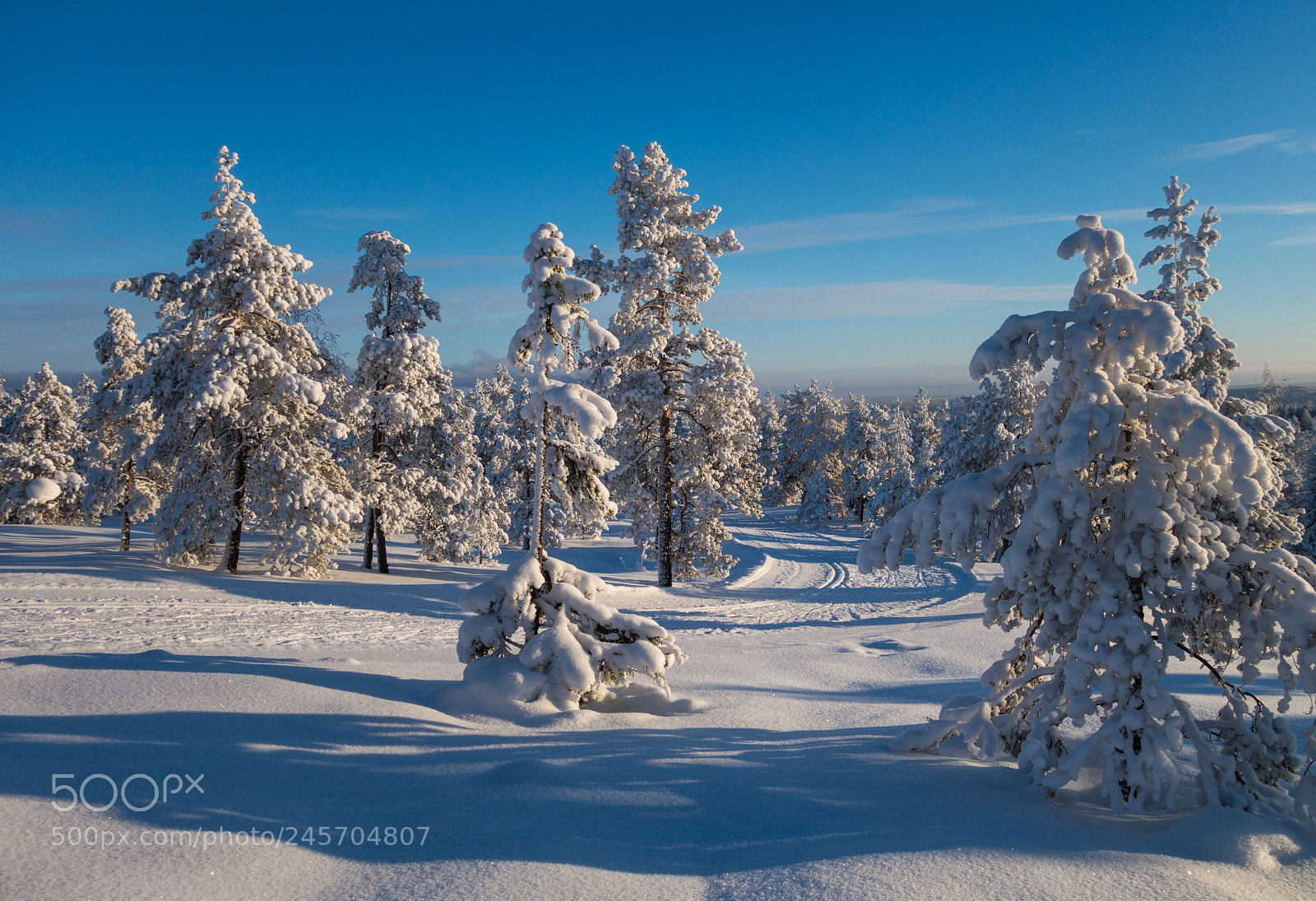 Sony Cyber-shot DSC-RX100 II sample photo. Winter wonderland photography