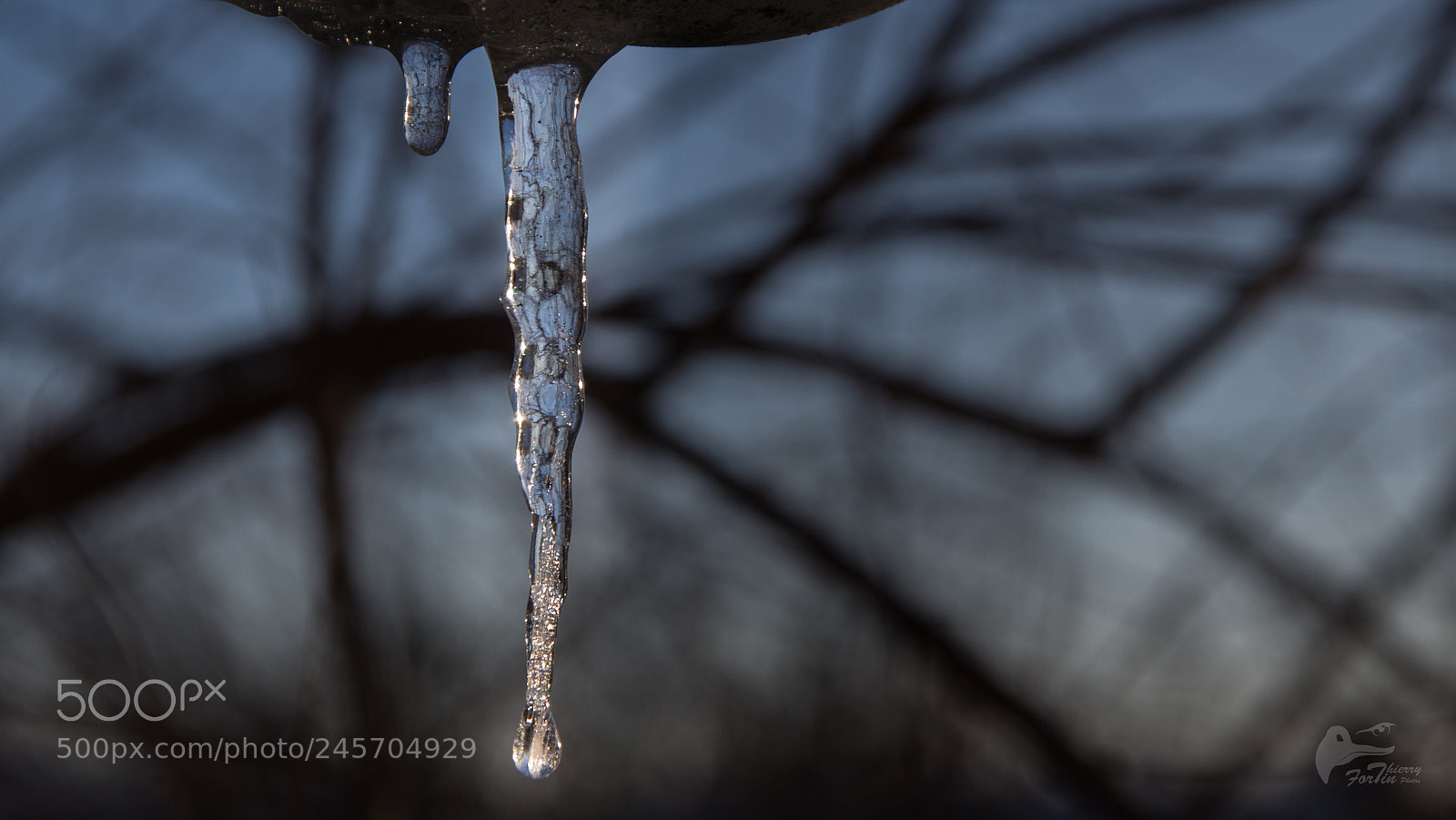 Canon EOS 700D (EOS Rebel T5i / EOS Kiss X7i) sample photo. Ice photography