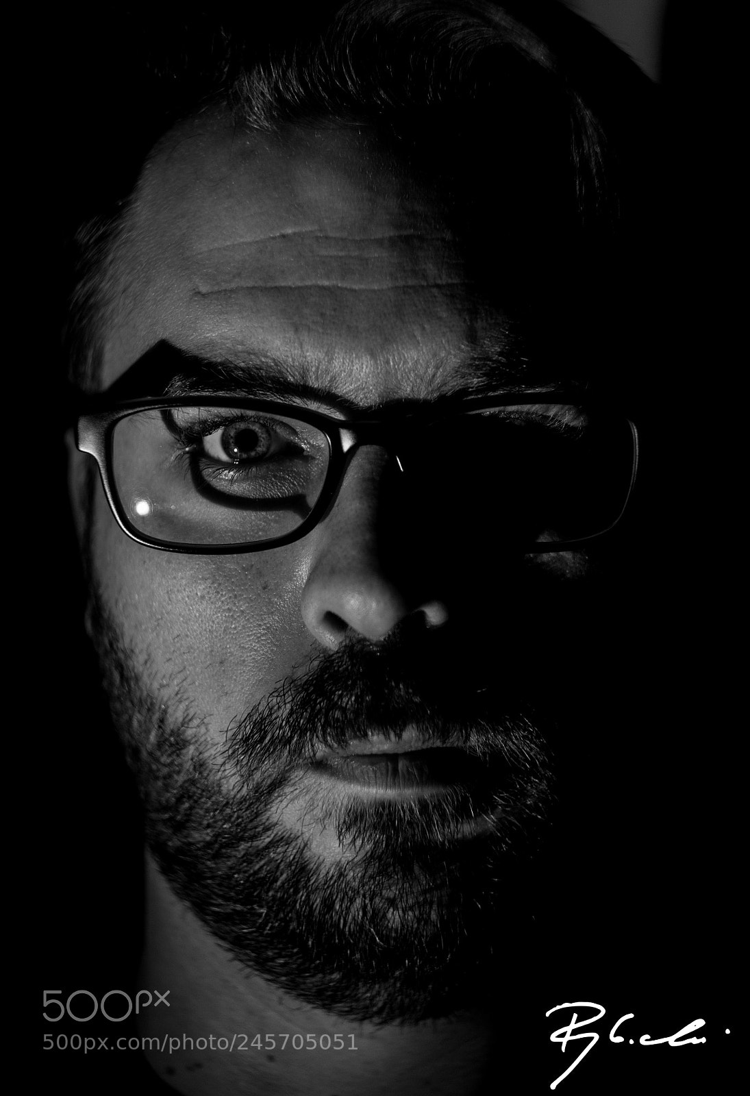 Sony Alpha DSLR-A350 sample photo. That's him ii photography