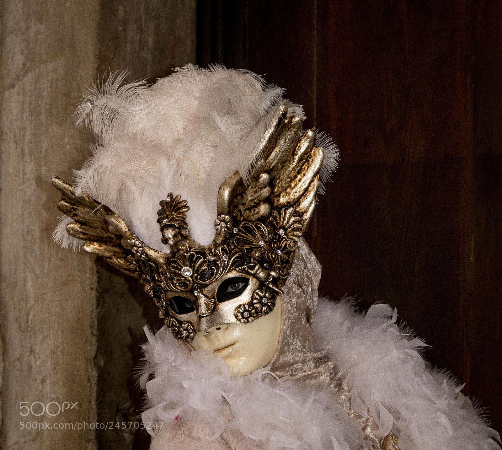 Nikon D600 sample photo. Mascara em veneza ao photography