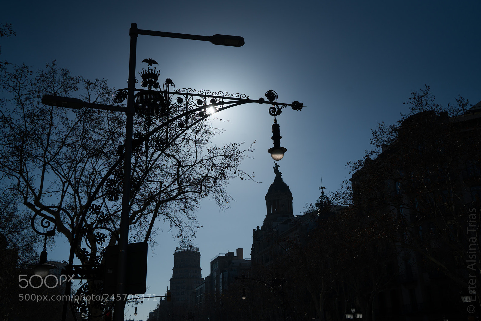 Sony a7R II sample photo. Un precioso contraluz photography