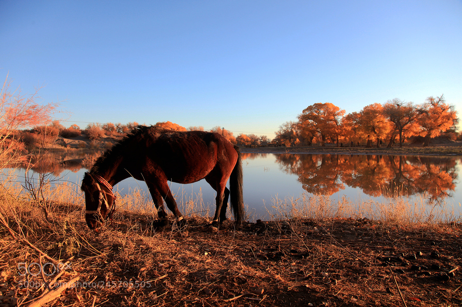 Canon EF 24-105mm F4L IS USM sample photo. The autumn morning photography