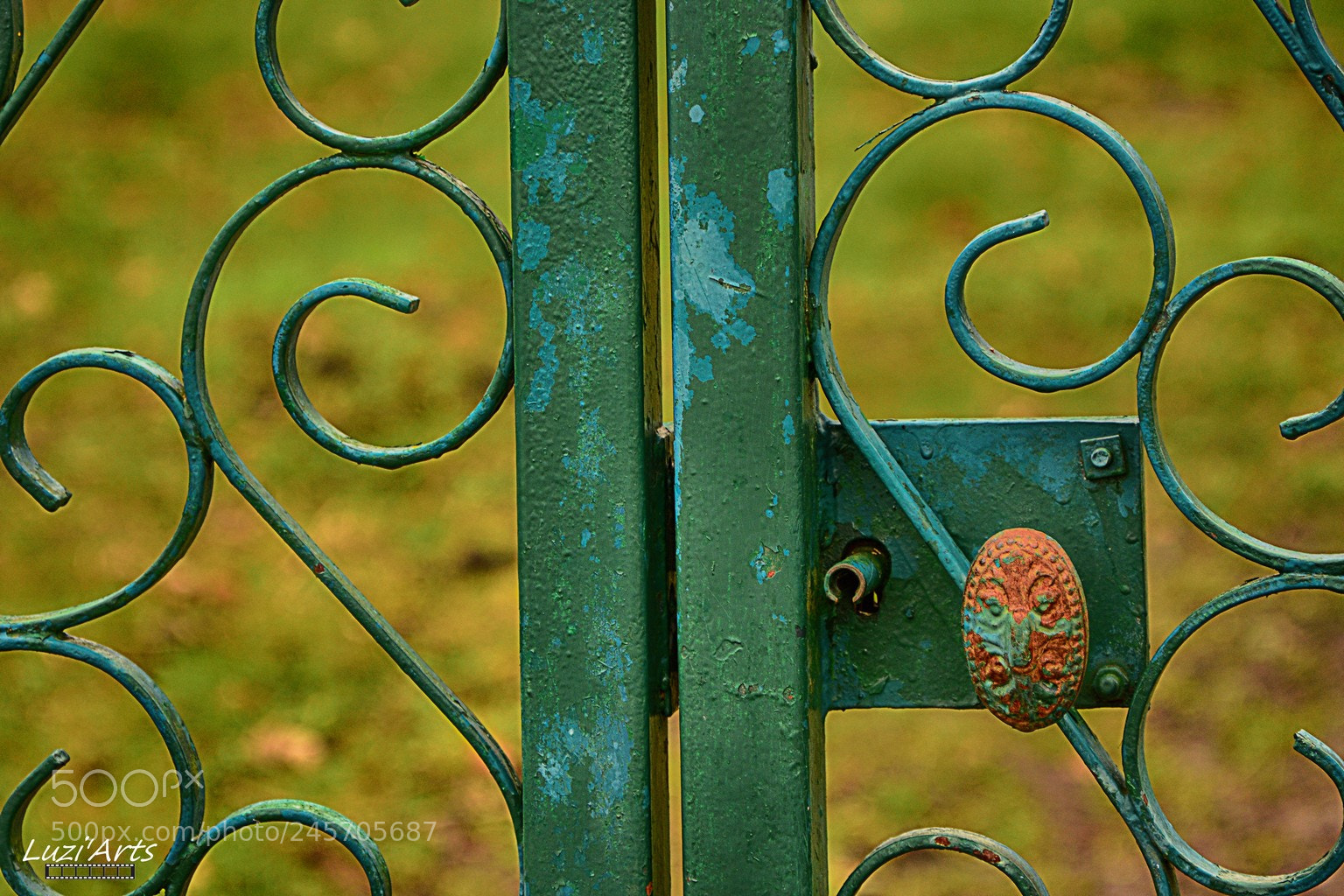 Nikon D7100 sample photo. Pic photography