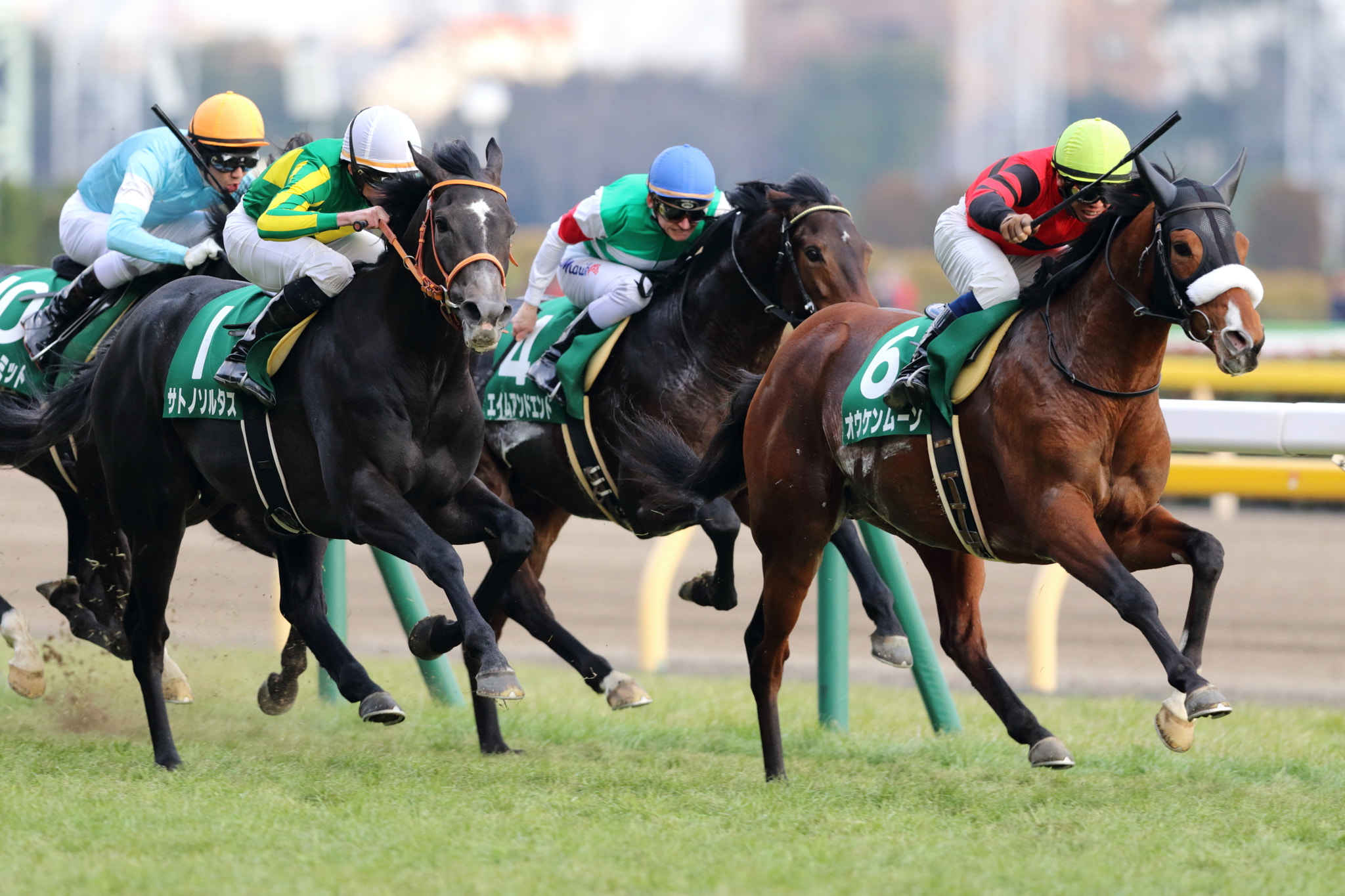 Canon EF 300mm F2.8L IS II USM sample photo. Untitled photography