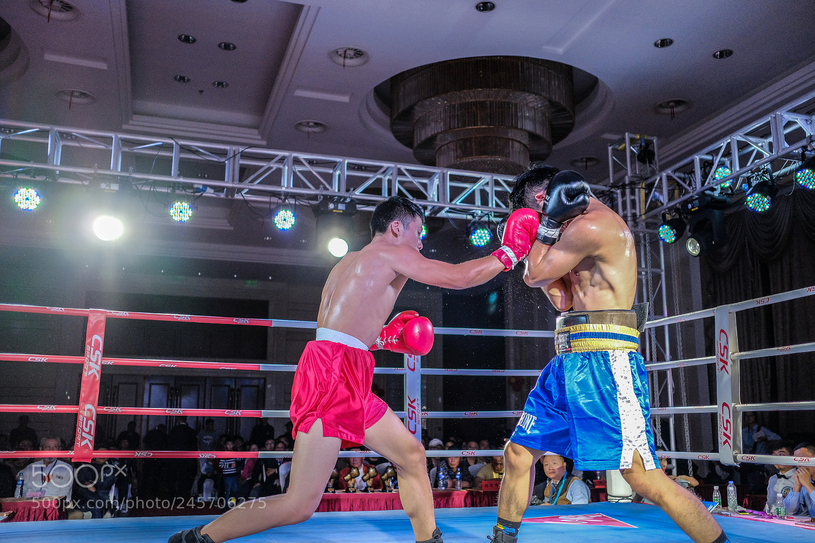 Fujifilm X-Pro2 sample photo. Boxing photography