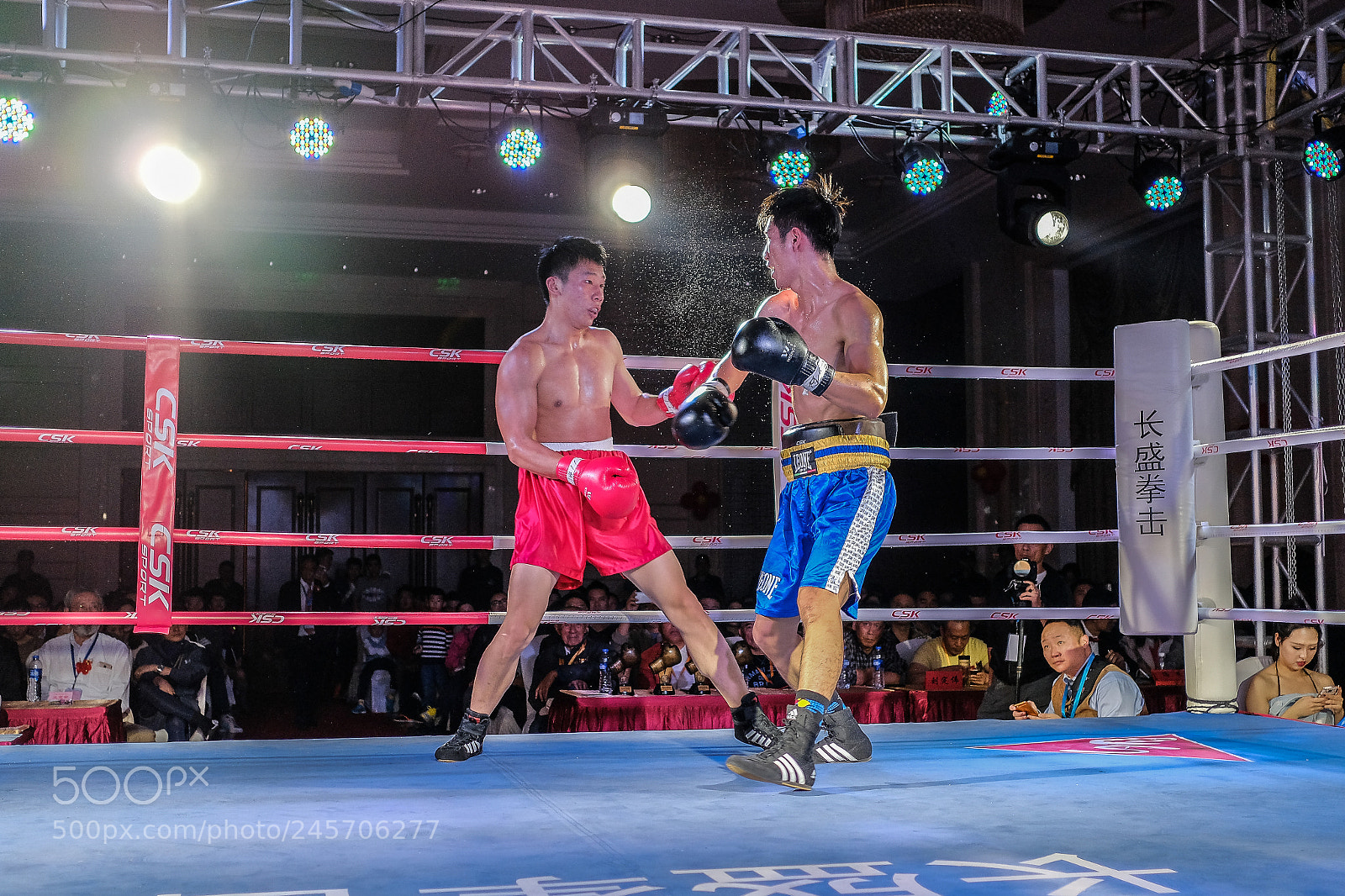 Fujifilm X-Pro2 sample photo. Boxing photography