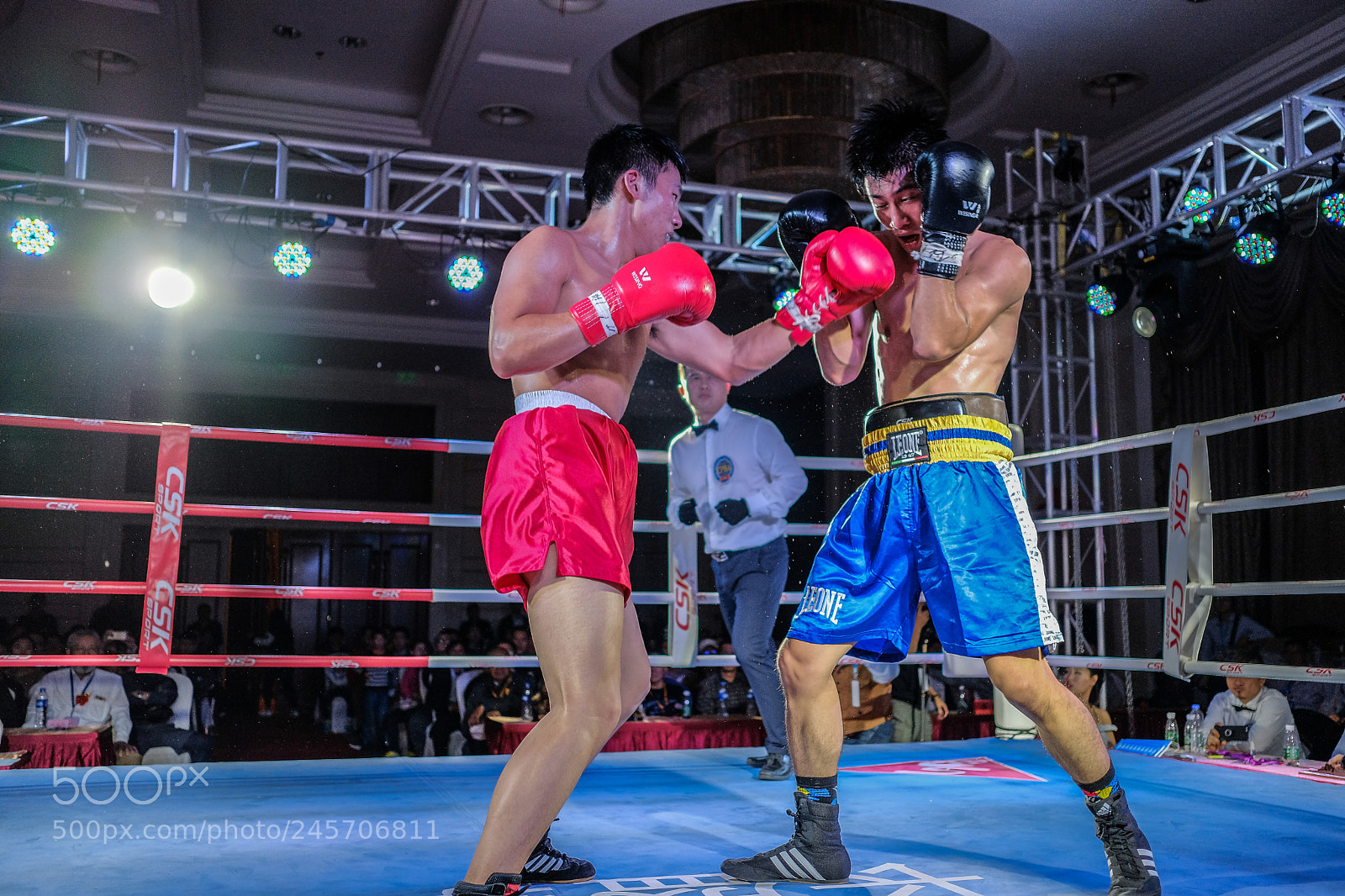 Fujifilm X-Pro2 sample photo. Boxing photography