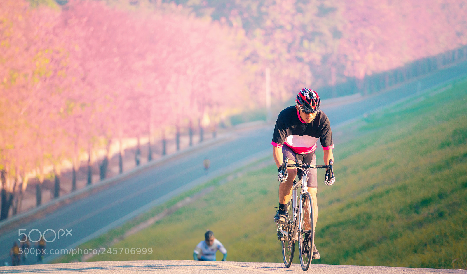Sony a7R II sample photo. A man ride a photography