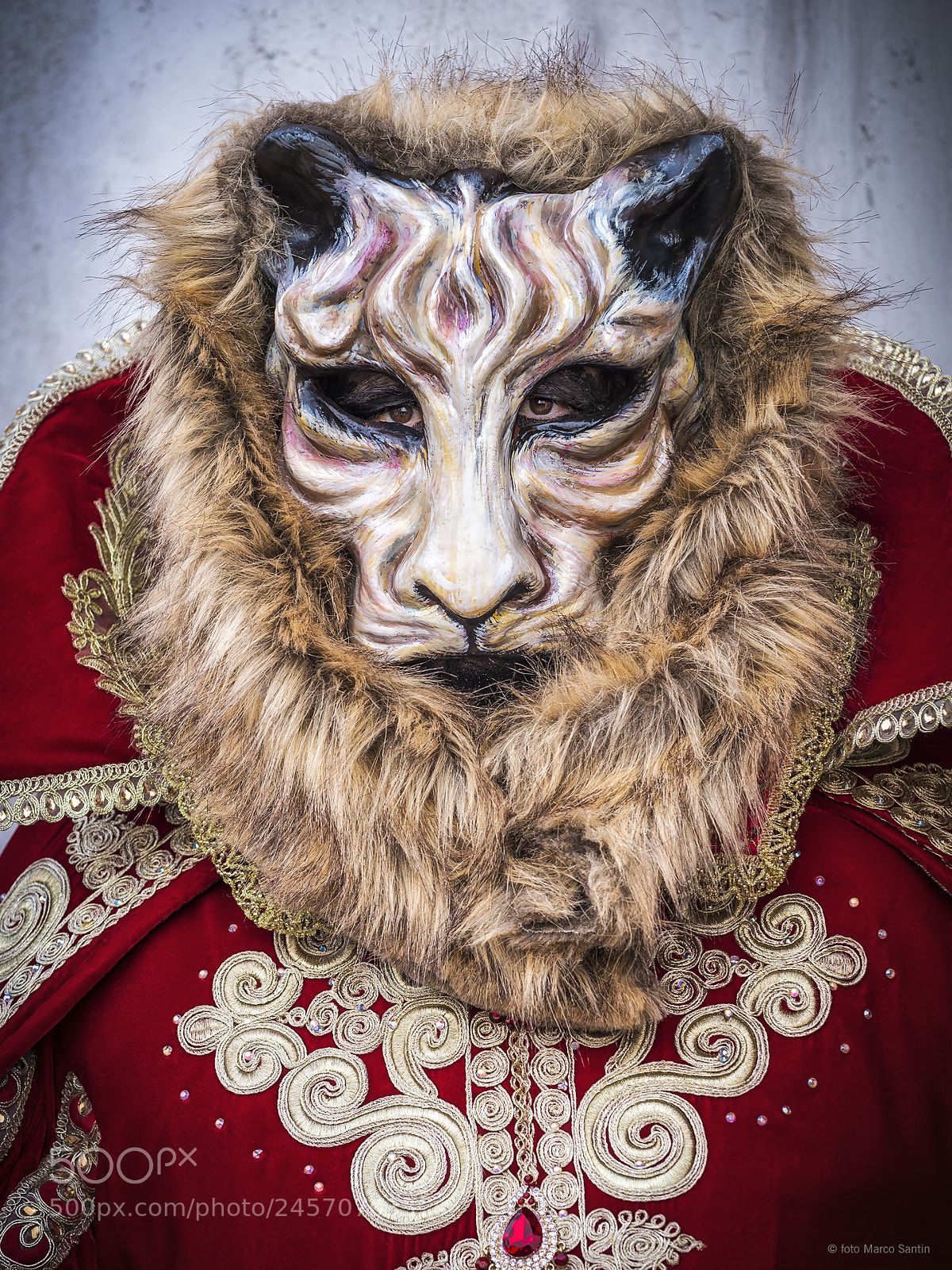 Nikon D810 sample photo. Carnival of venice photography