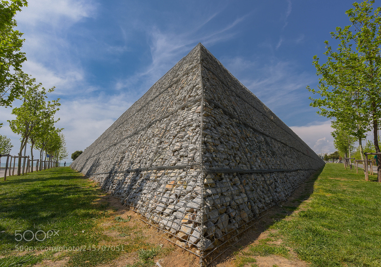 Nikon D810 sample photo. Hide and seek photography