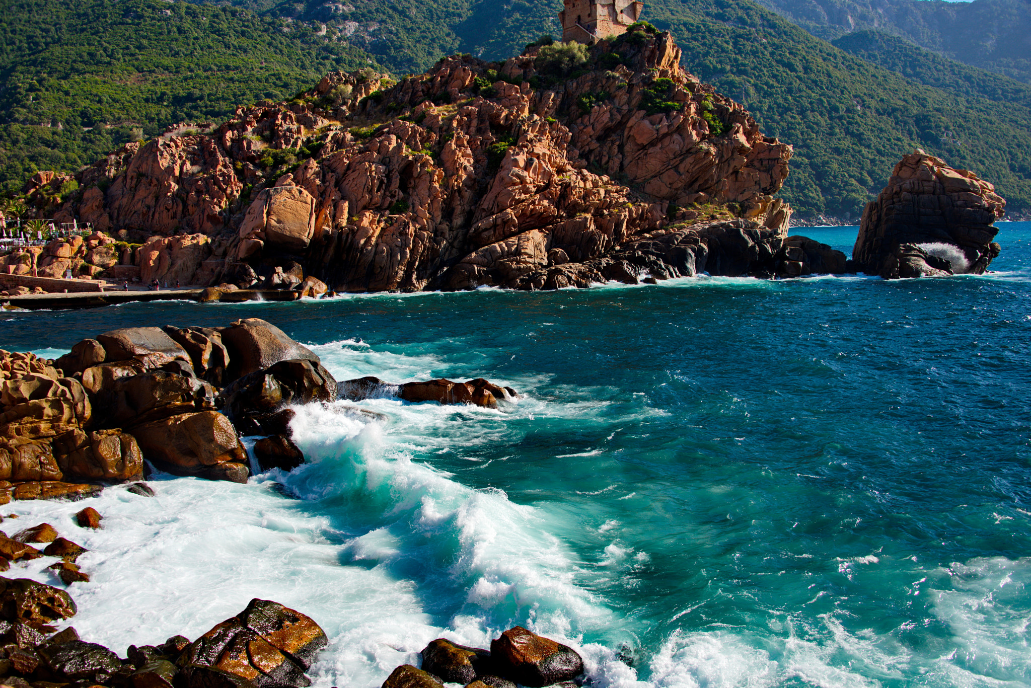 Nikon D800 sample photo. A view of porto in corsica photography