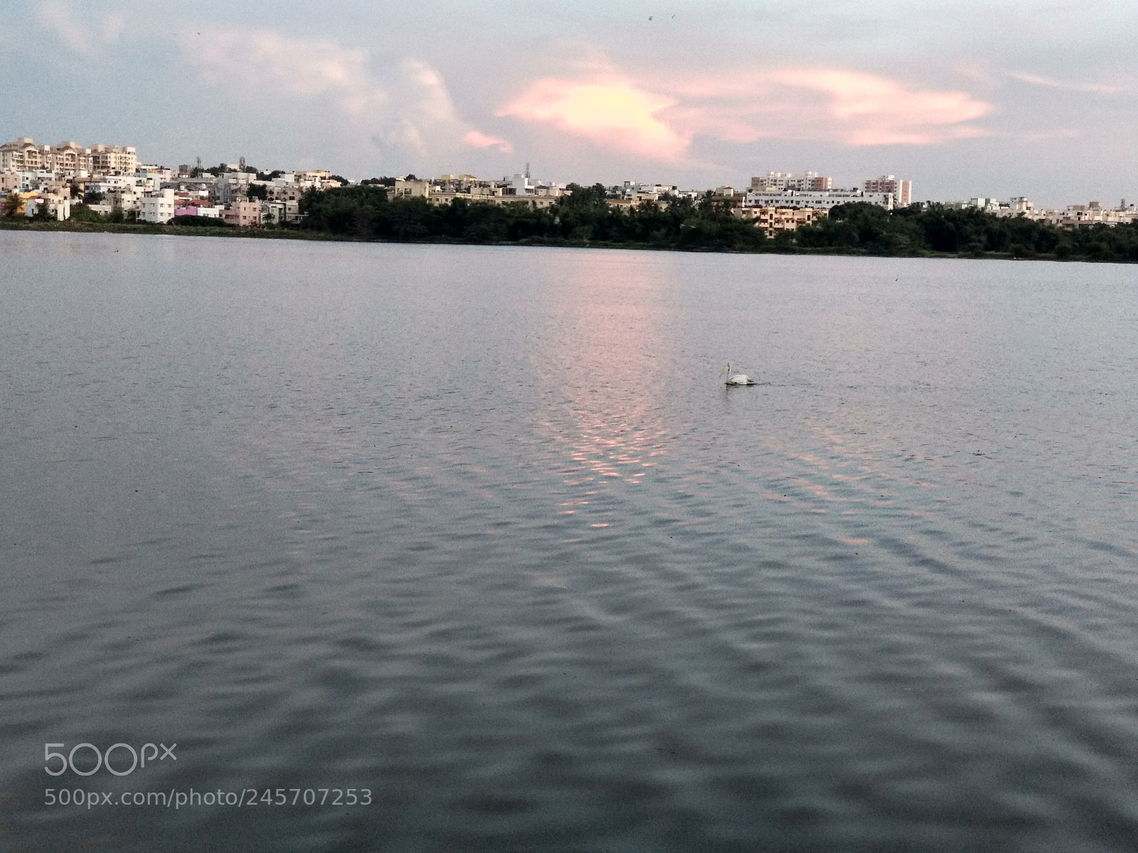 Xiaomi Mi A1 sample photo. Sunset vie of madiwala photography