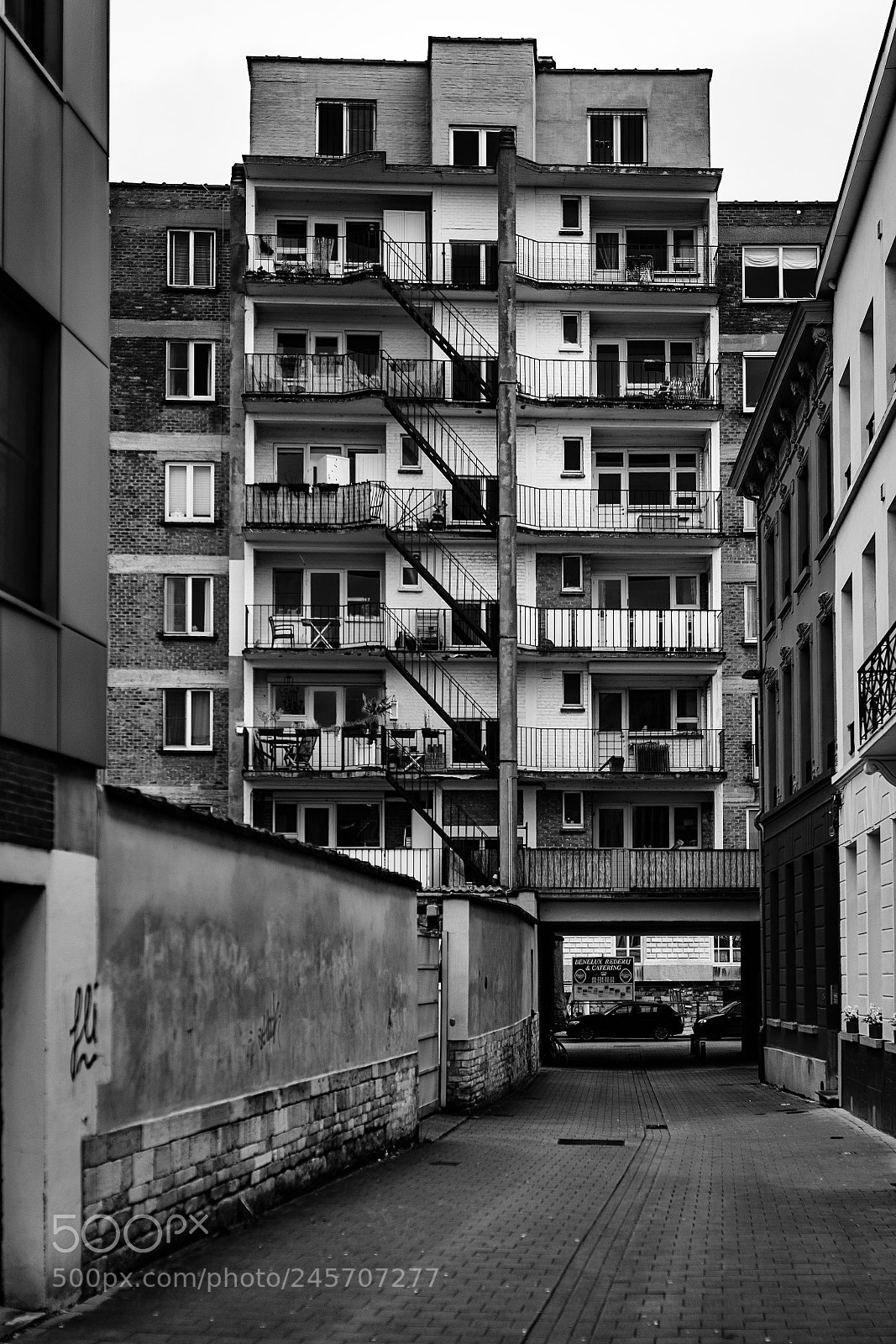 Nikon D810 sample photo. Gent look behind photography