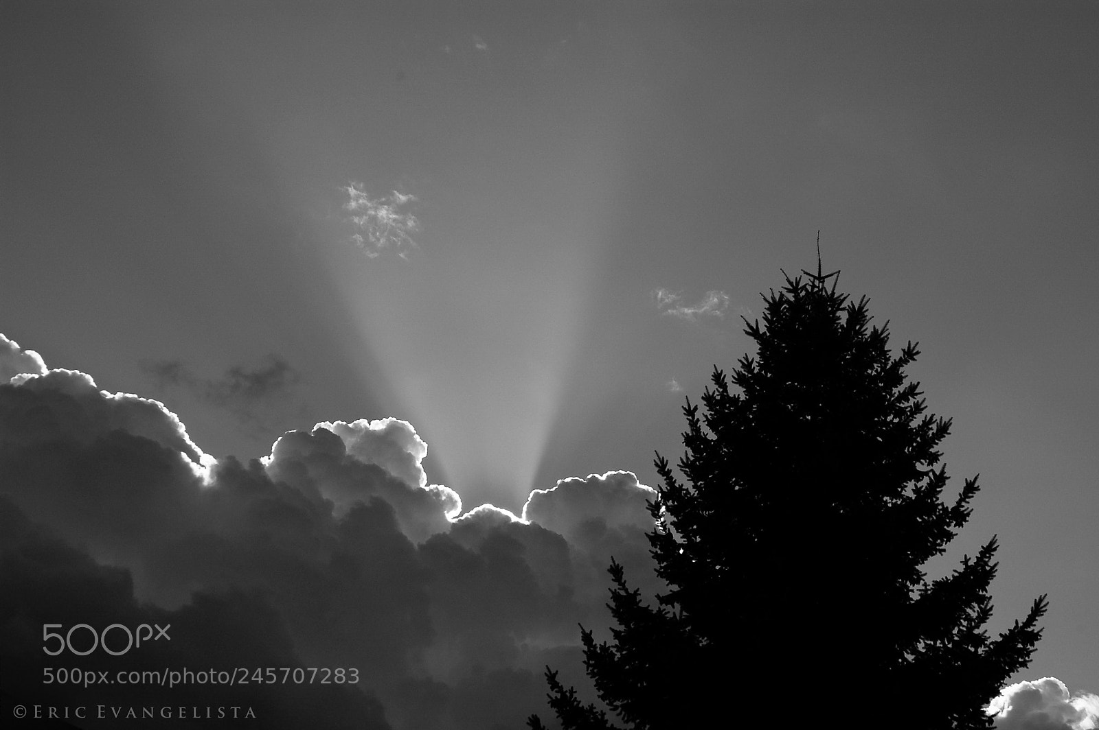 Nikon D50 sample photo. Feels like heaven photography