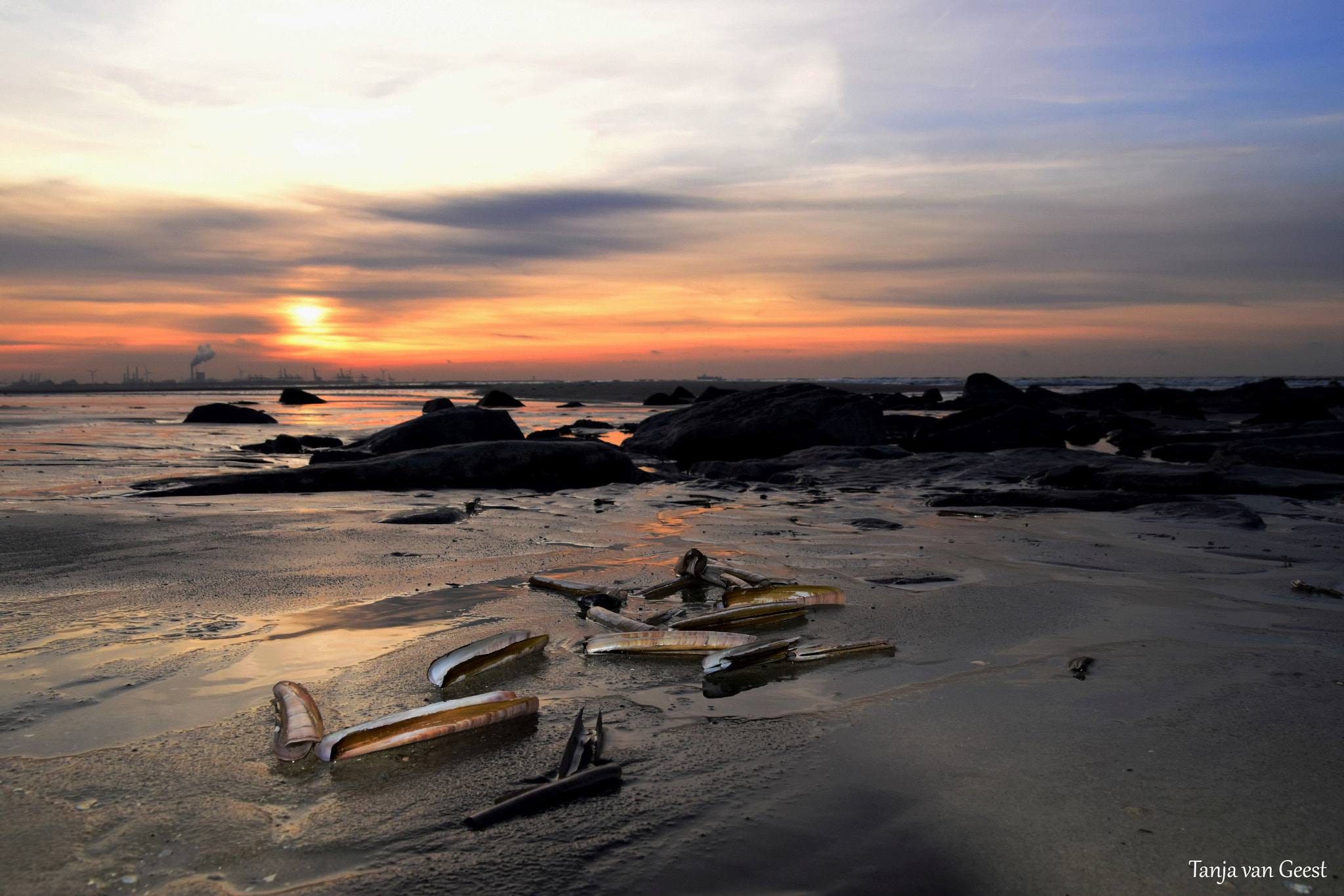 Nikon D5500 sample photo. Sunset photography