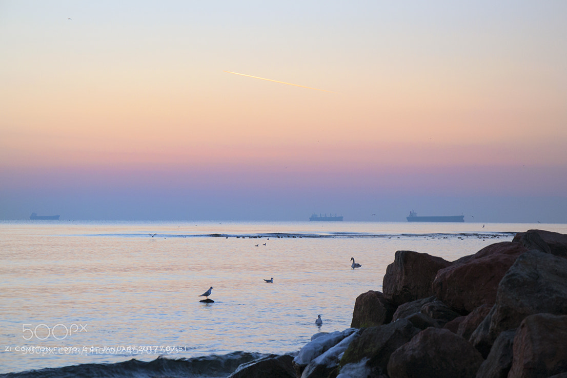 Nikon D3100 sample photo. January sunrise photography