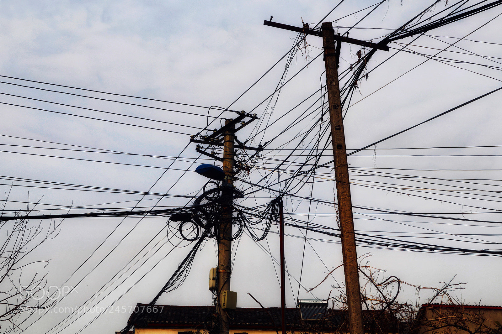 Canon EOS M5 sample photo. Wire photography