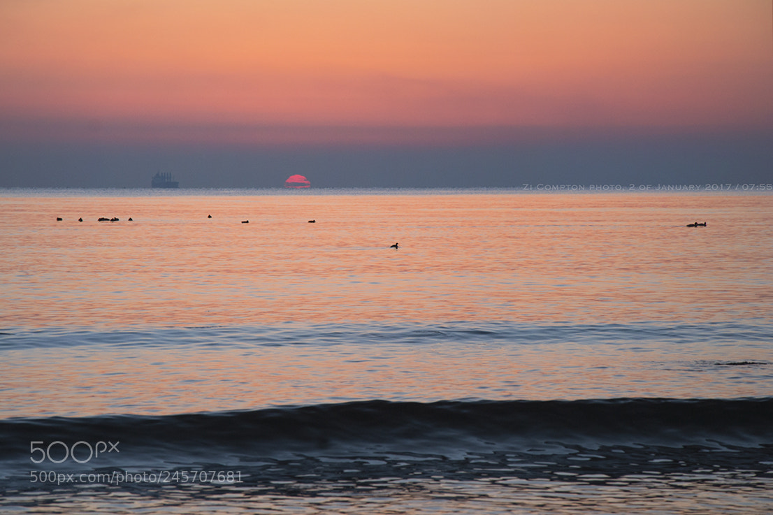 Nikon D3100 sample photo. January sunrise photography