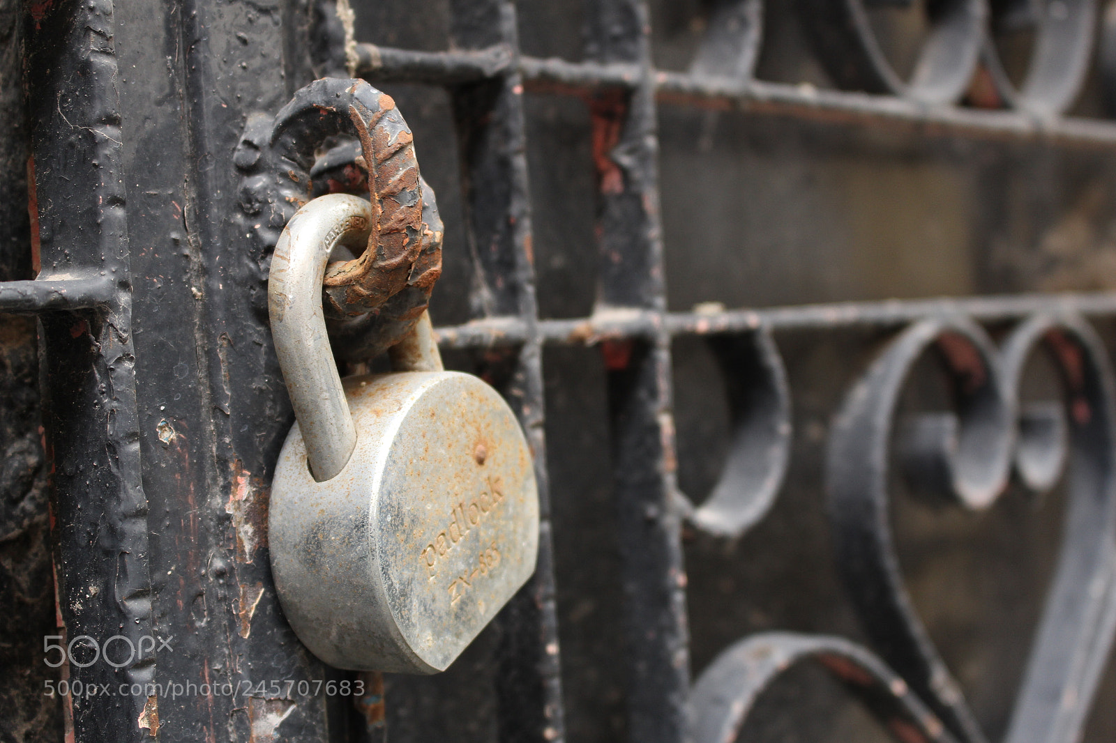 Canon EOS 700D (EOS Rebel T5i / EOS Kiss X7i) sample photo. Untitled photography